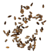 Molecules 28 07901 i002