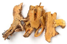 Molecules 28 07901 i008