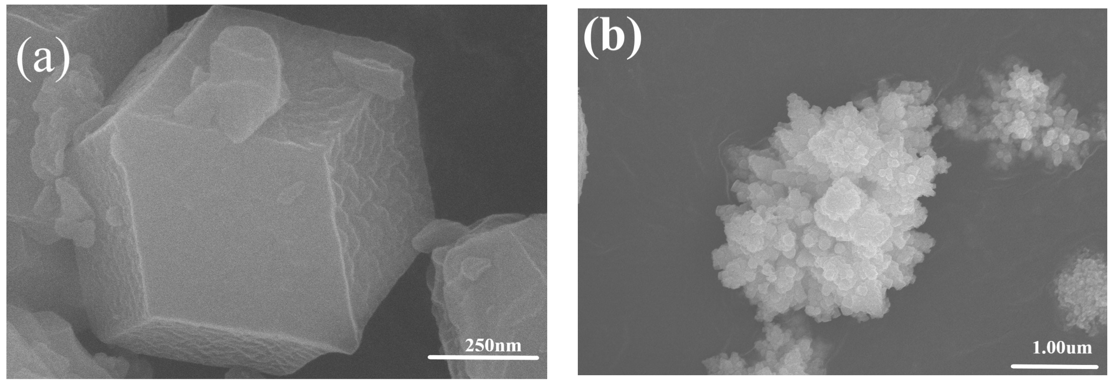 Molecules 28 07904 g002a