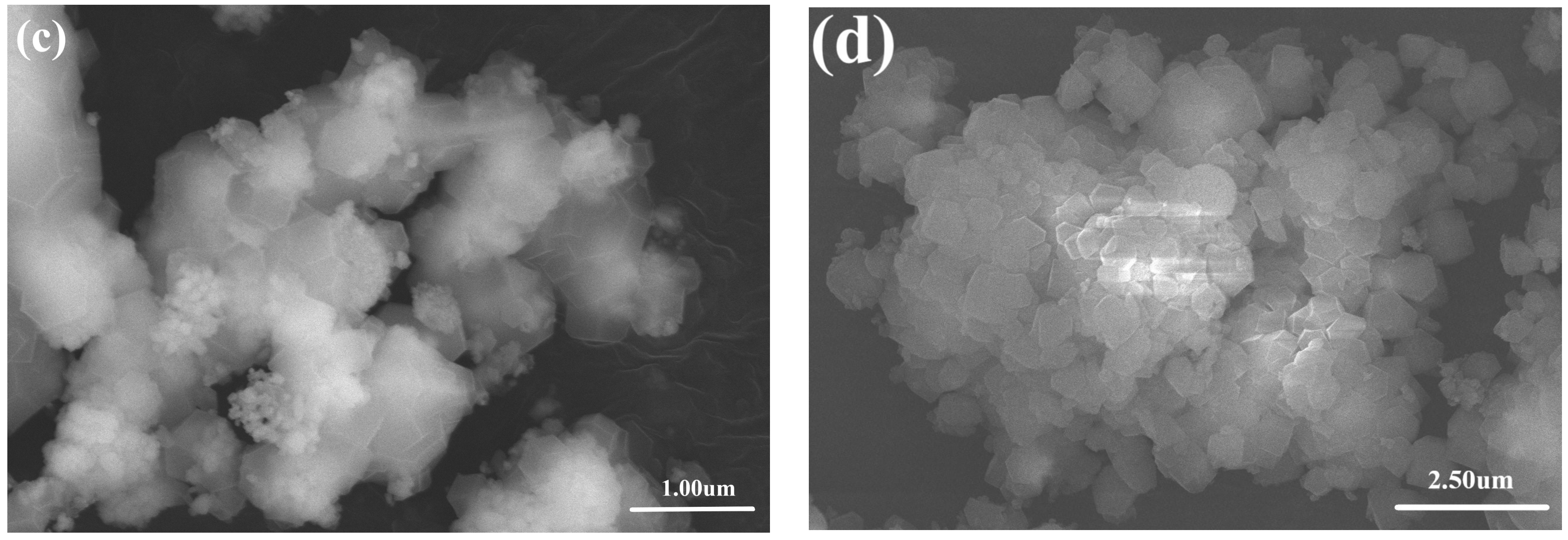 Molecules 28 07904 g002b