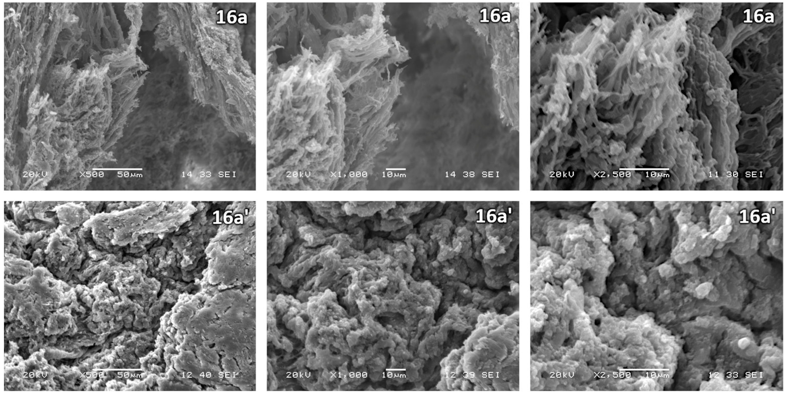 Molecules 28 07905 g007 Molecules 28 07905 g007