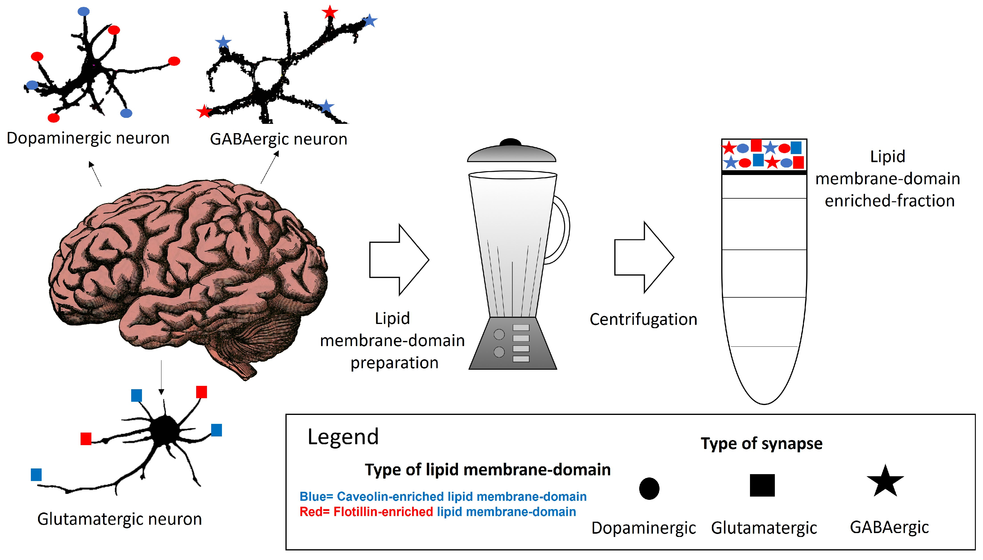 Molecules 28 07909 g001