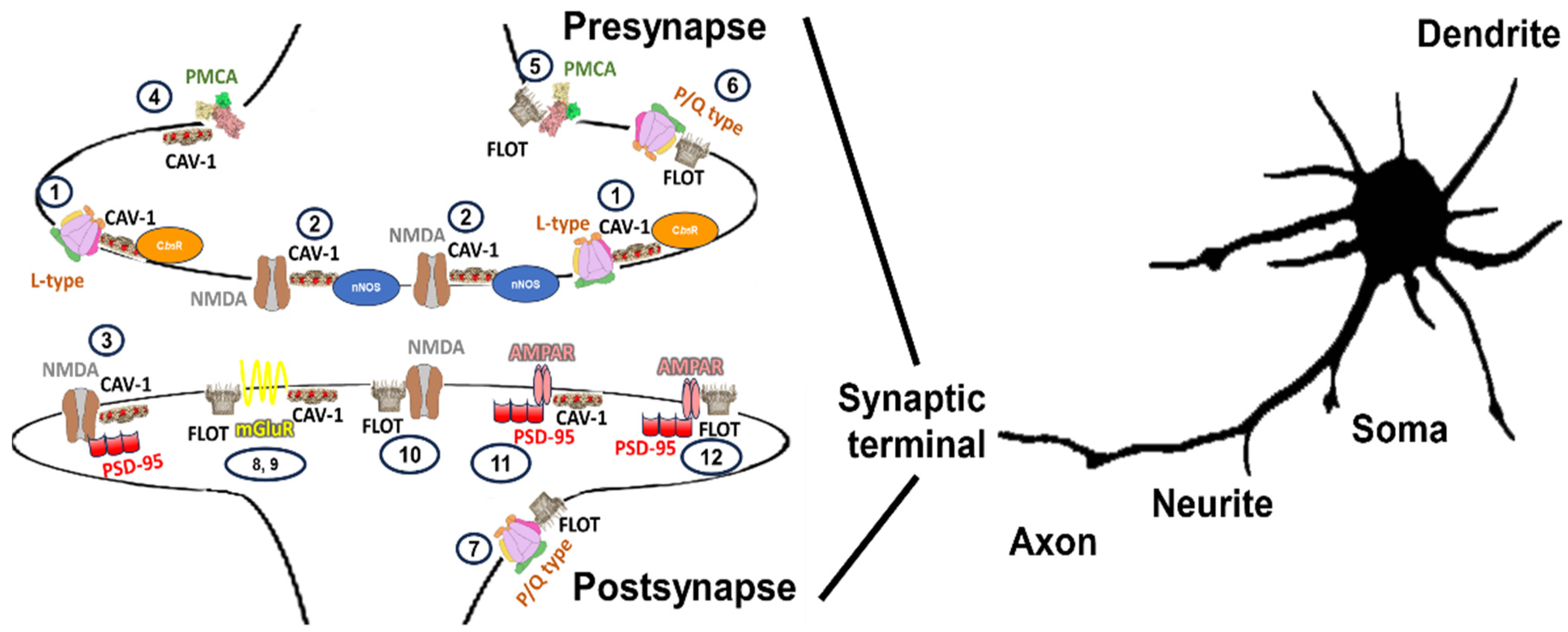 Molecules 28 07909 g003