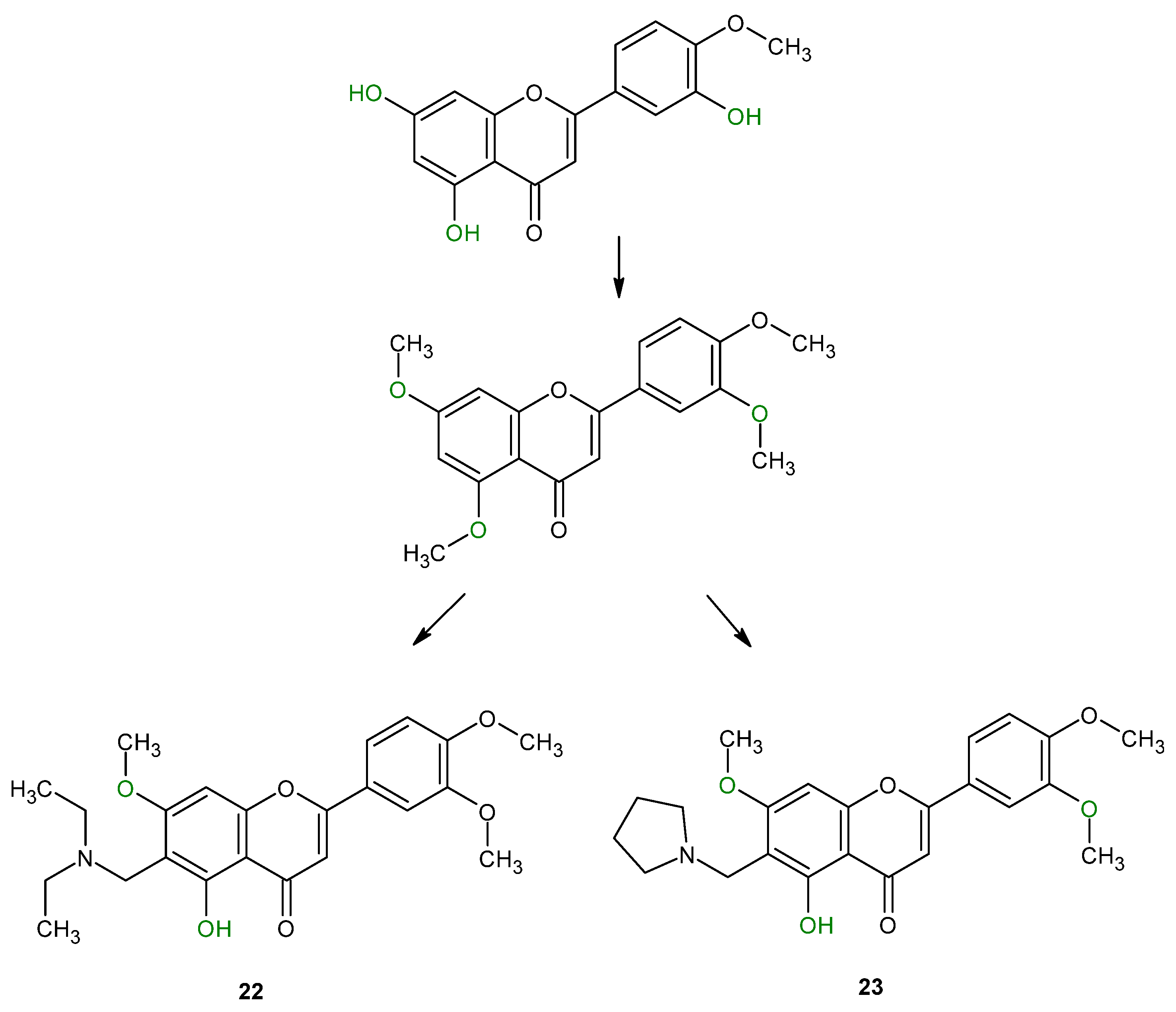 Molecules 28 07910 g012