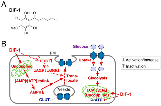 Molecules 28 07926 g001