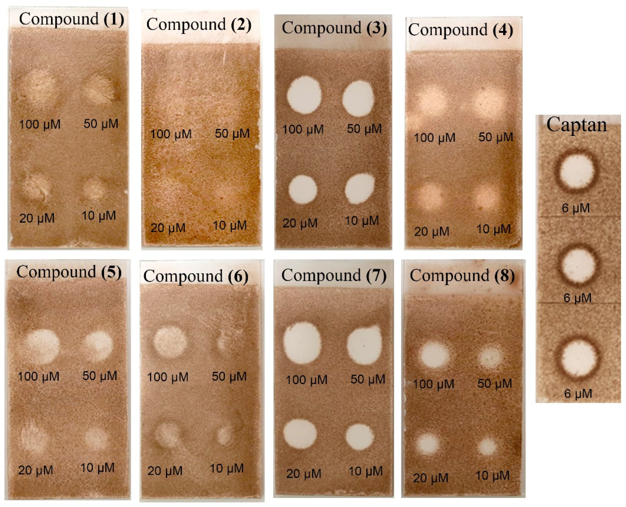 Molecules 28 07930 g004