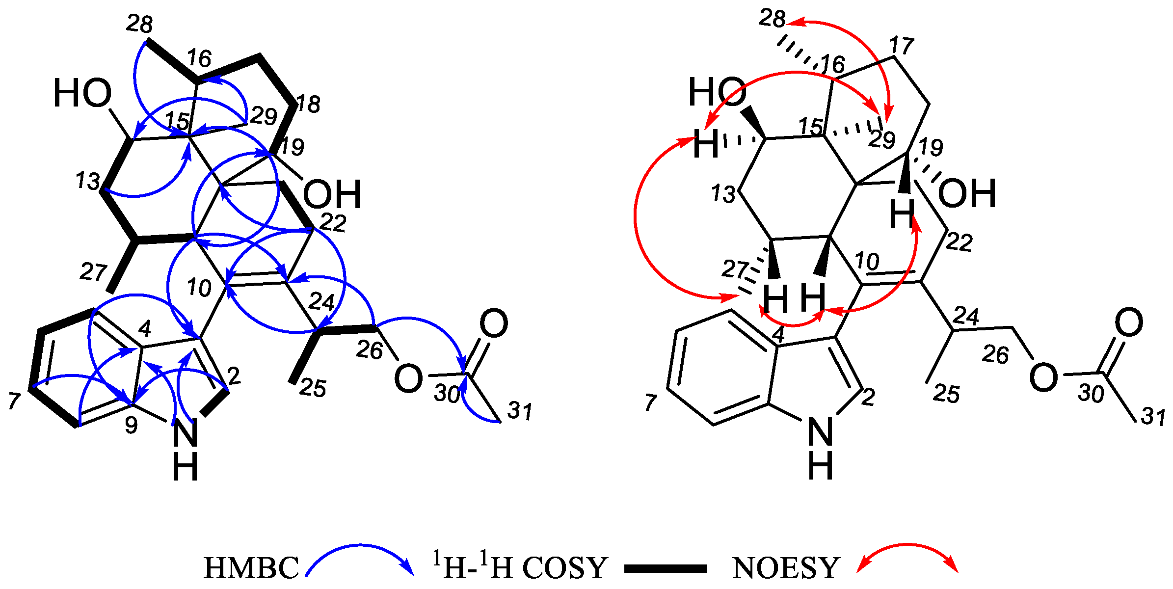 Molecules 28 07931 g002