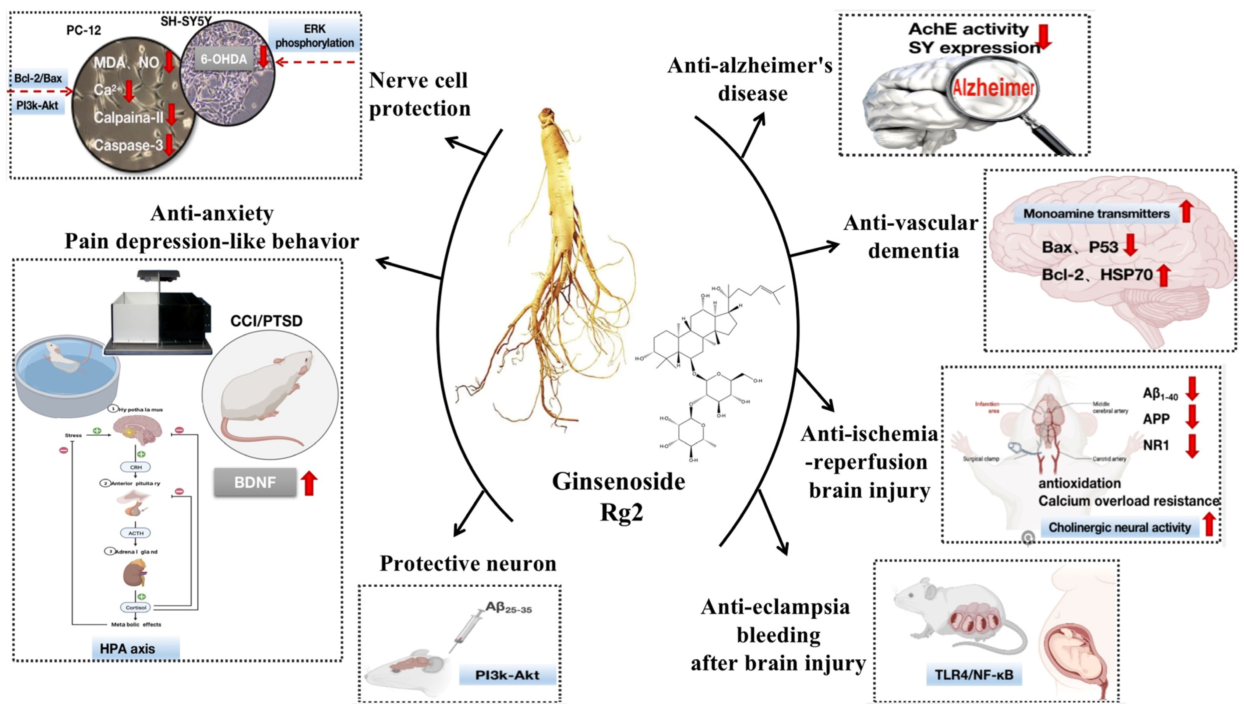 Molecules 28 07935 g002