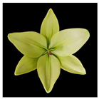 Molecules 28 07938 i005