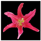 Molecules 28 07938 i007