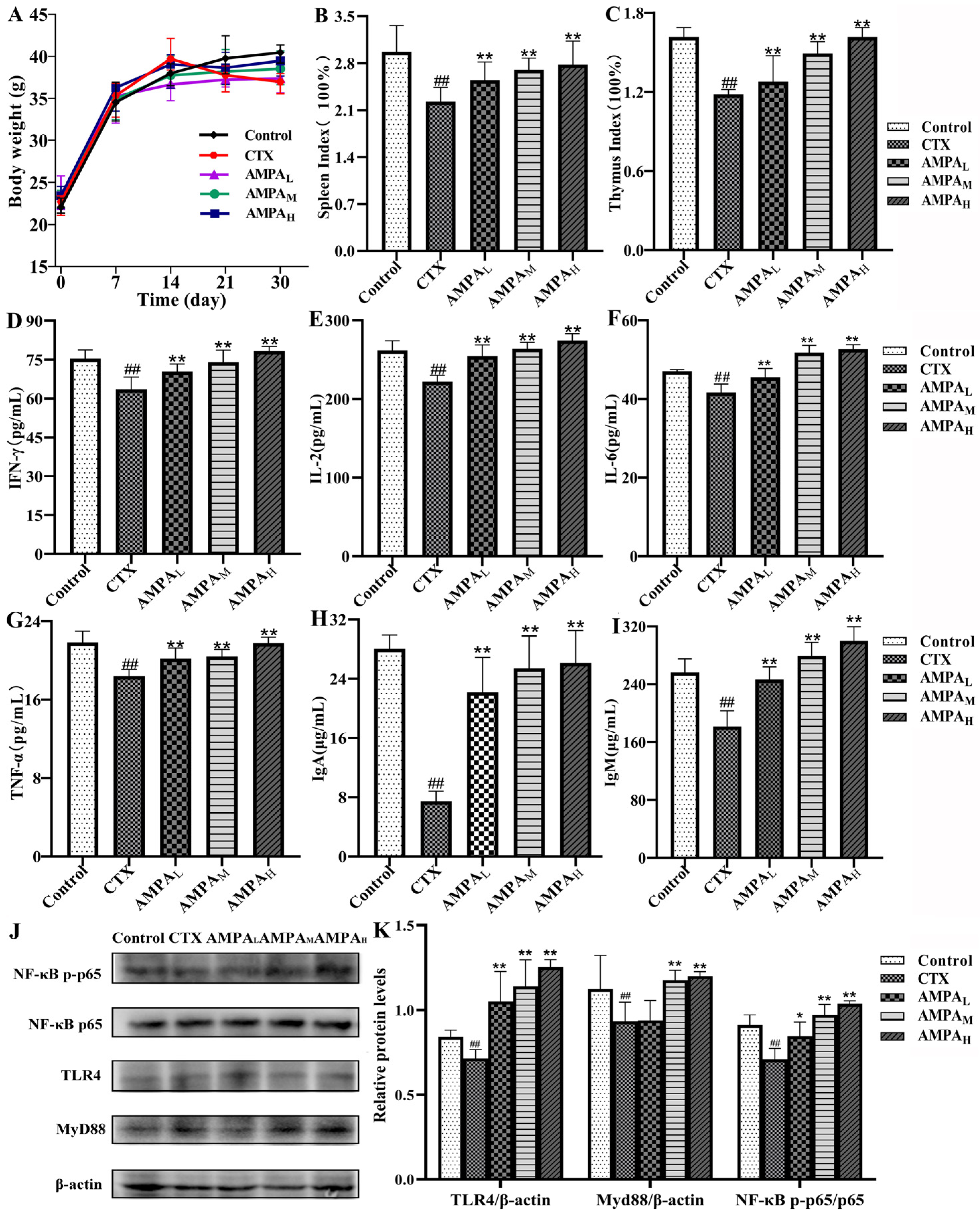 Molecules 28 07944 g002
