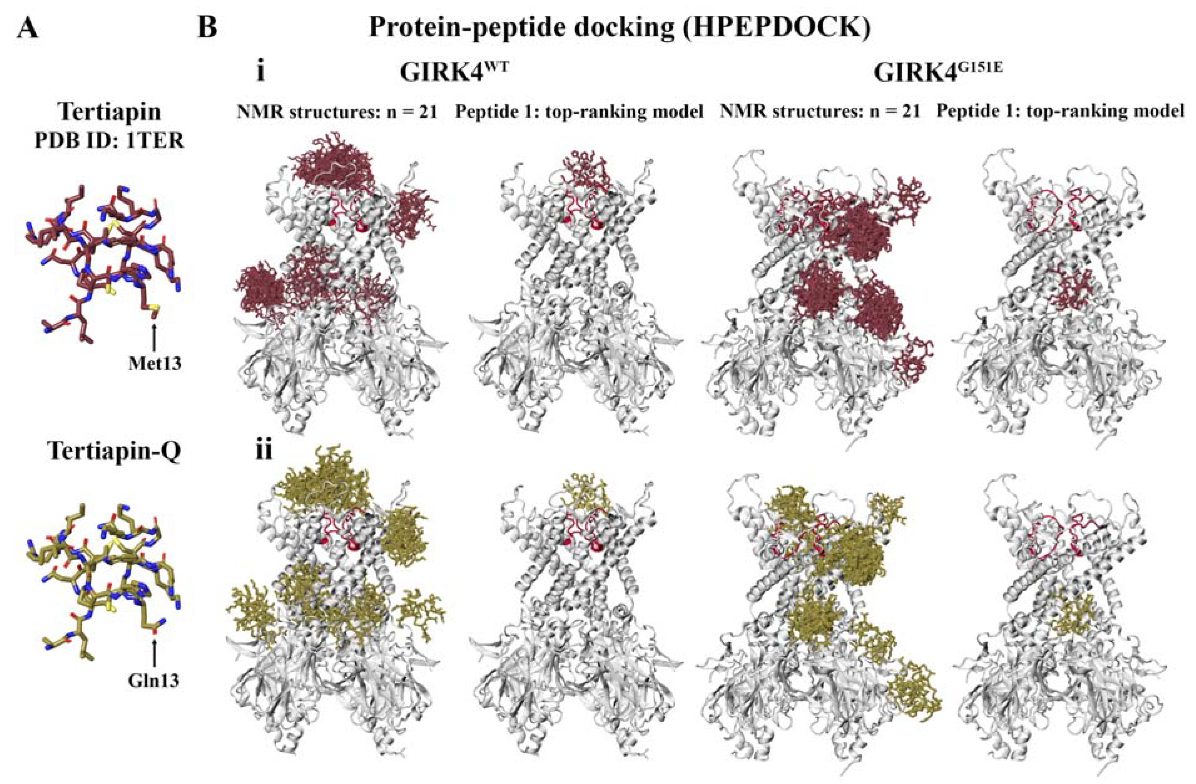 Molecules 28 07946 g002