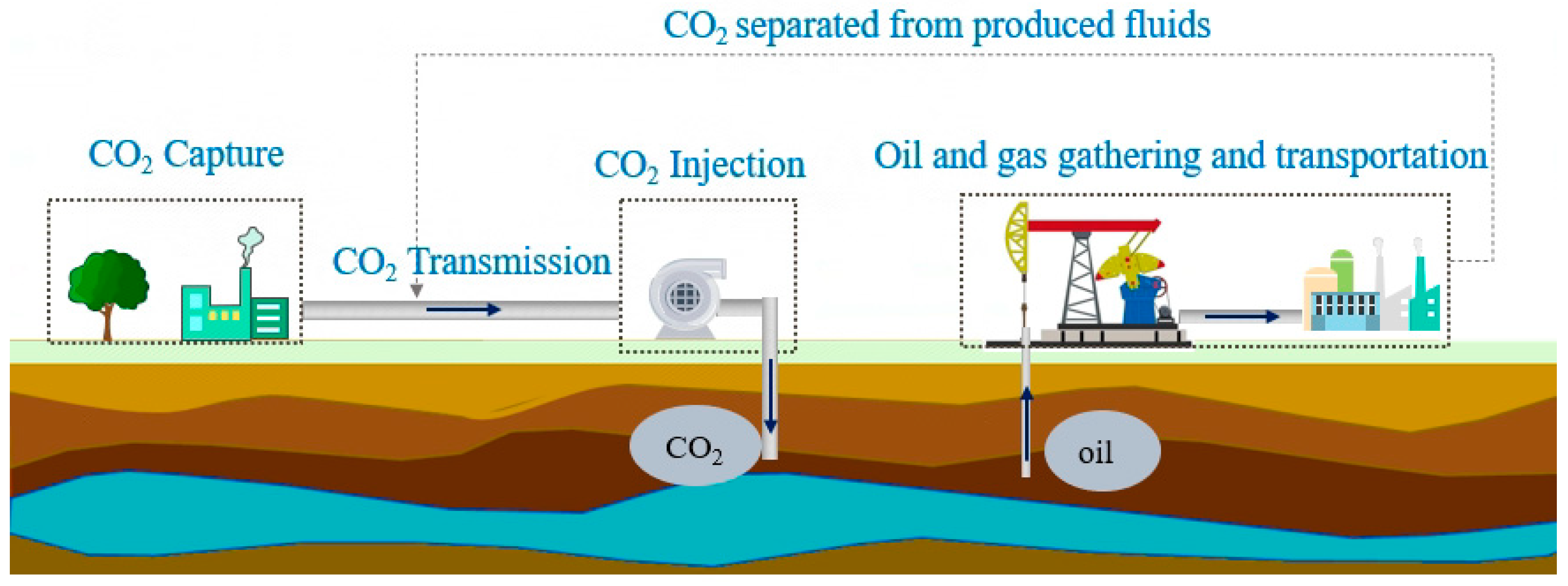 Molecules 28 07948 g001