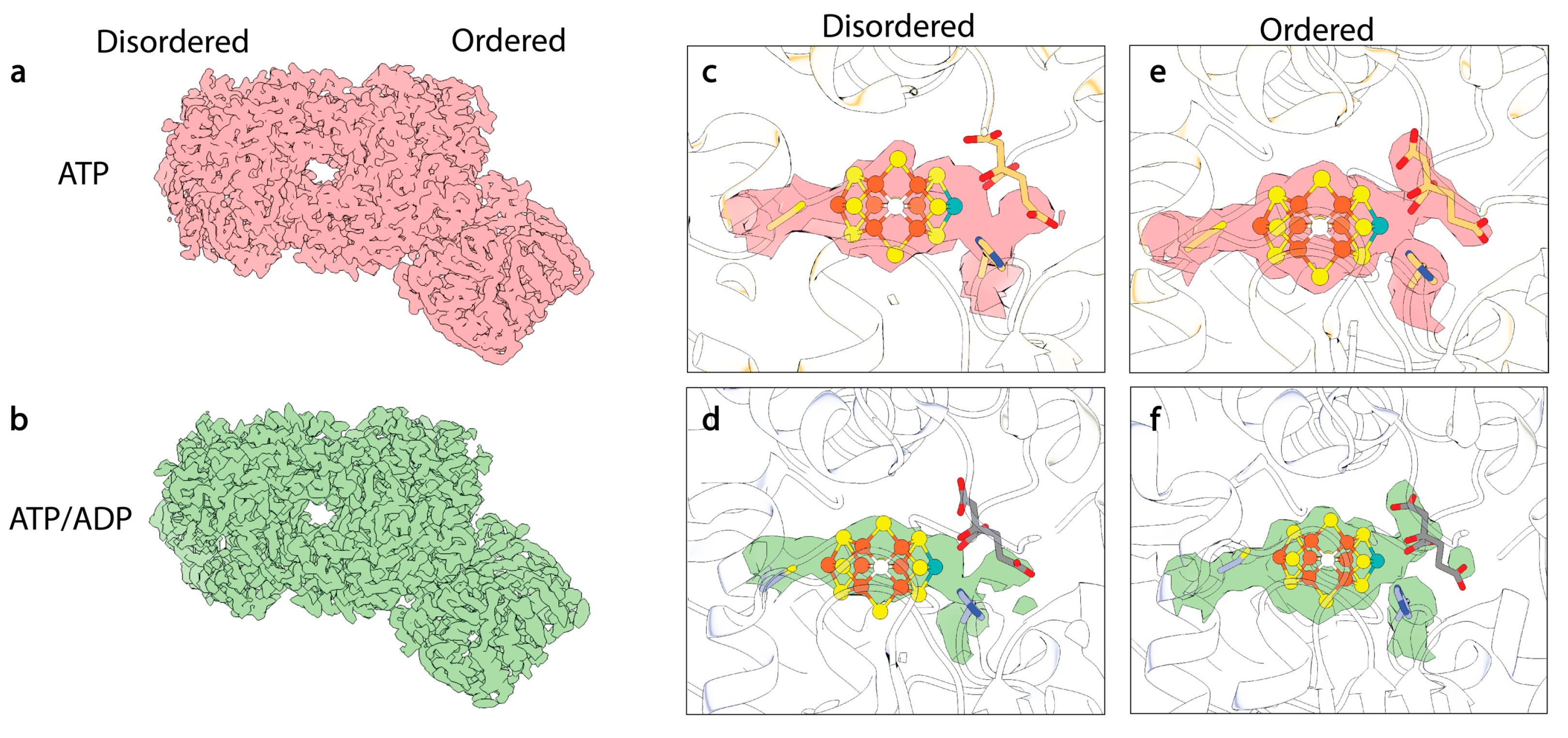 Molecules 28 07952 g007