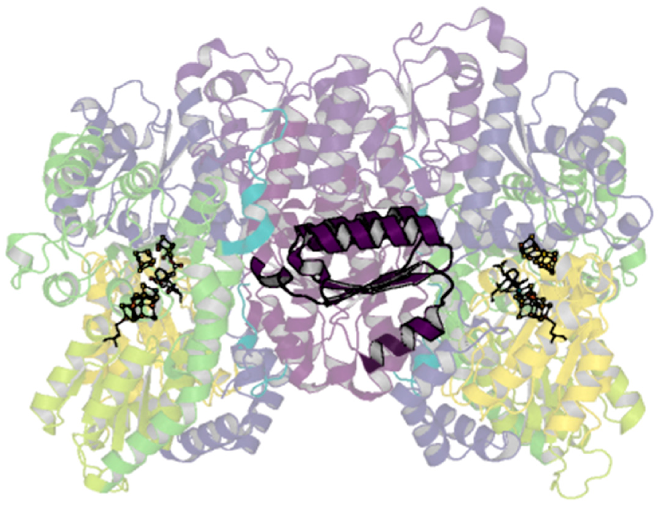 Molecules 28 07952 g008