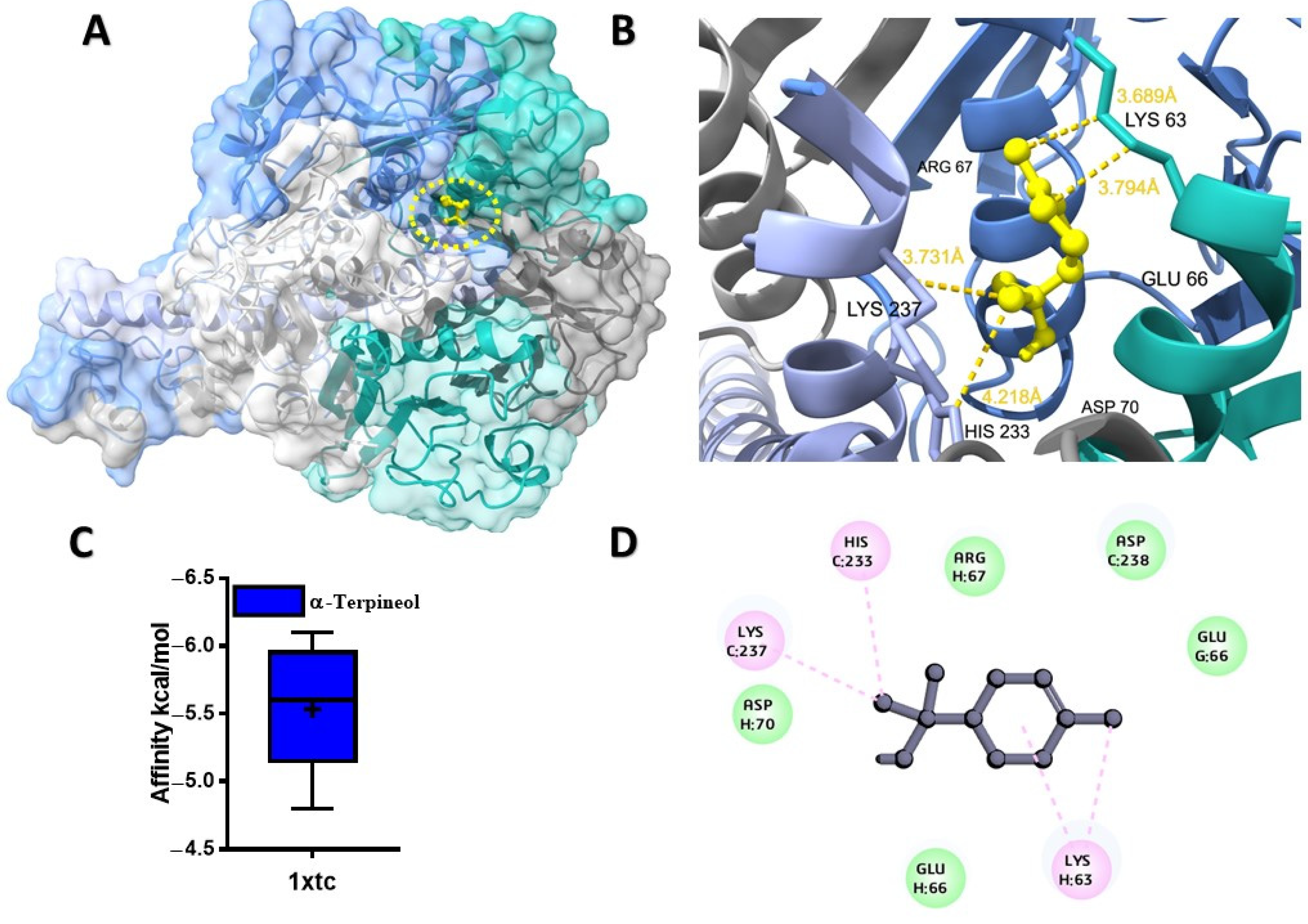 Molecules 28 07954 g001