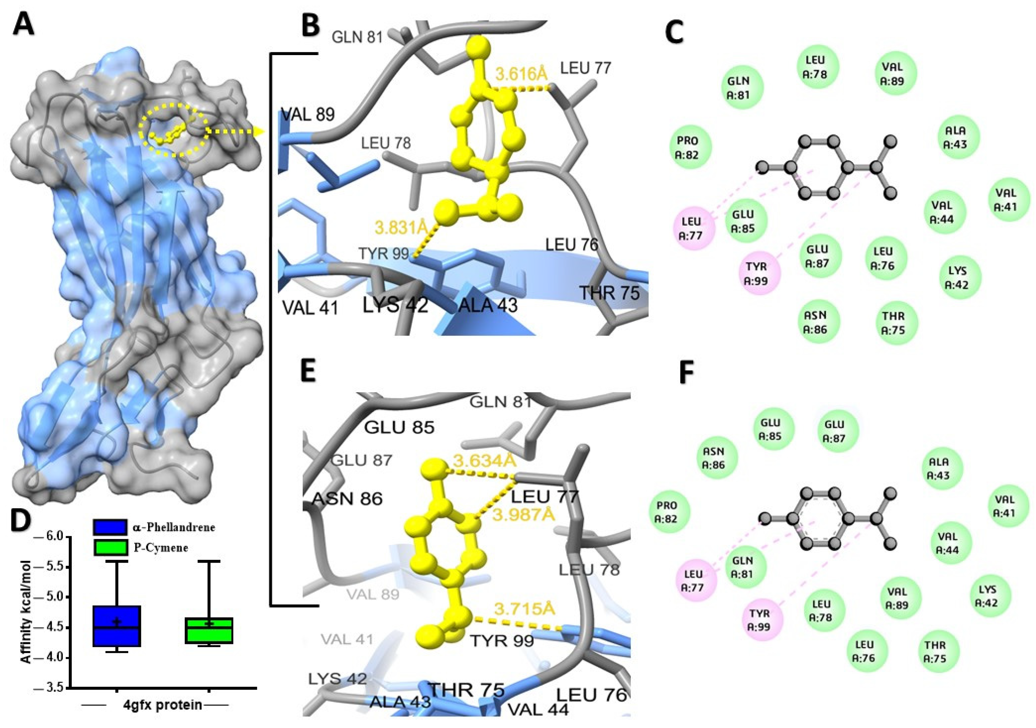 Molecules 28 07954 g002