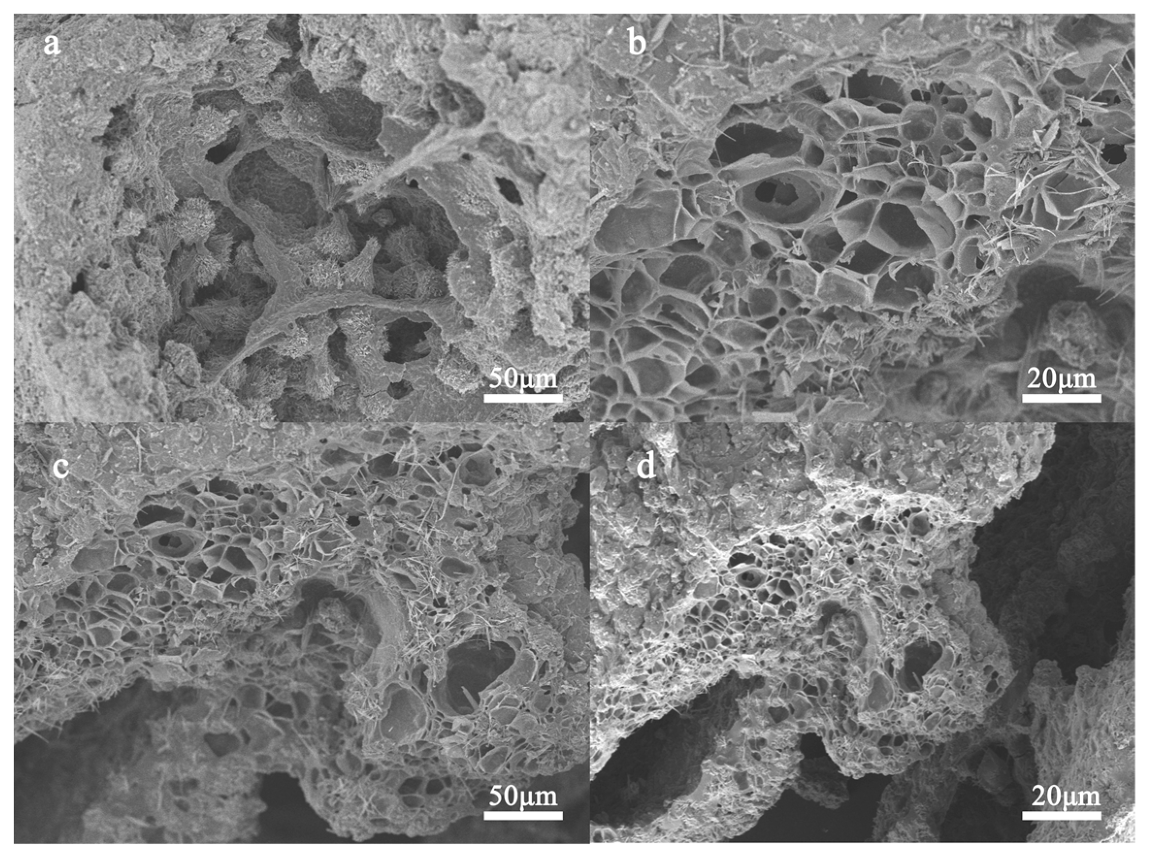 Molecules 28 07965 g001