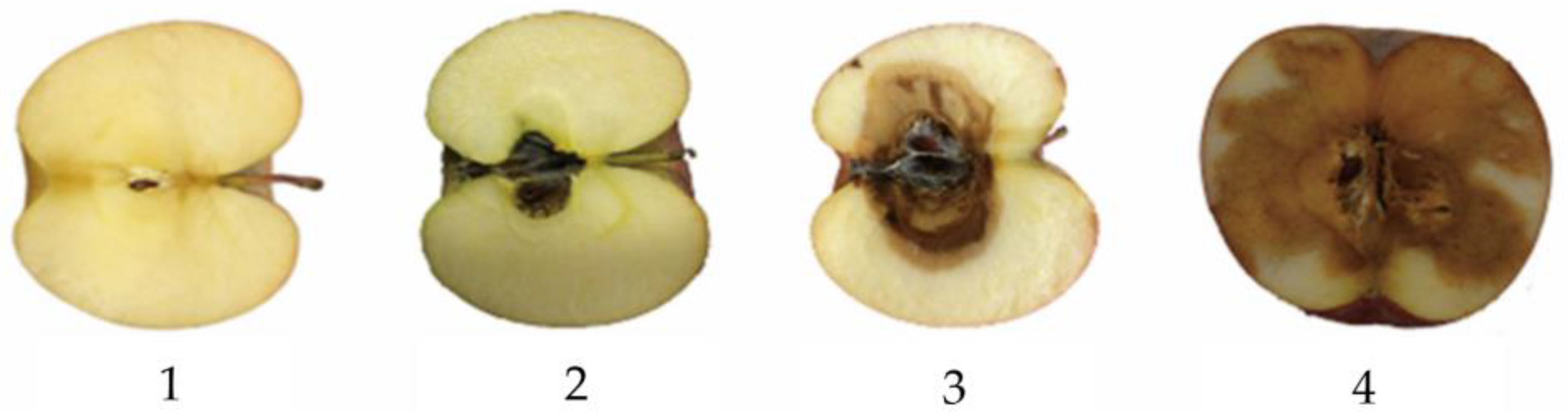 Molecules 28 07966 g001
