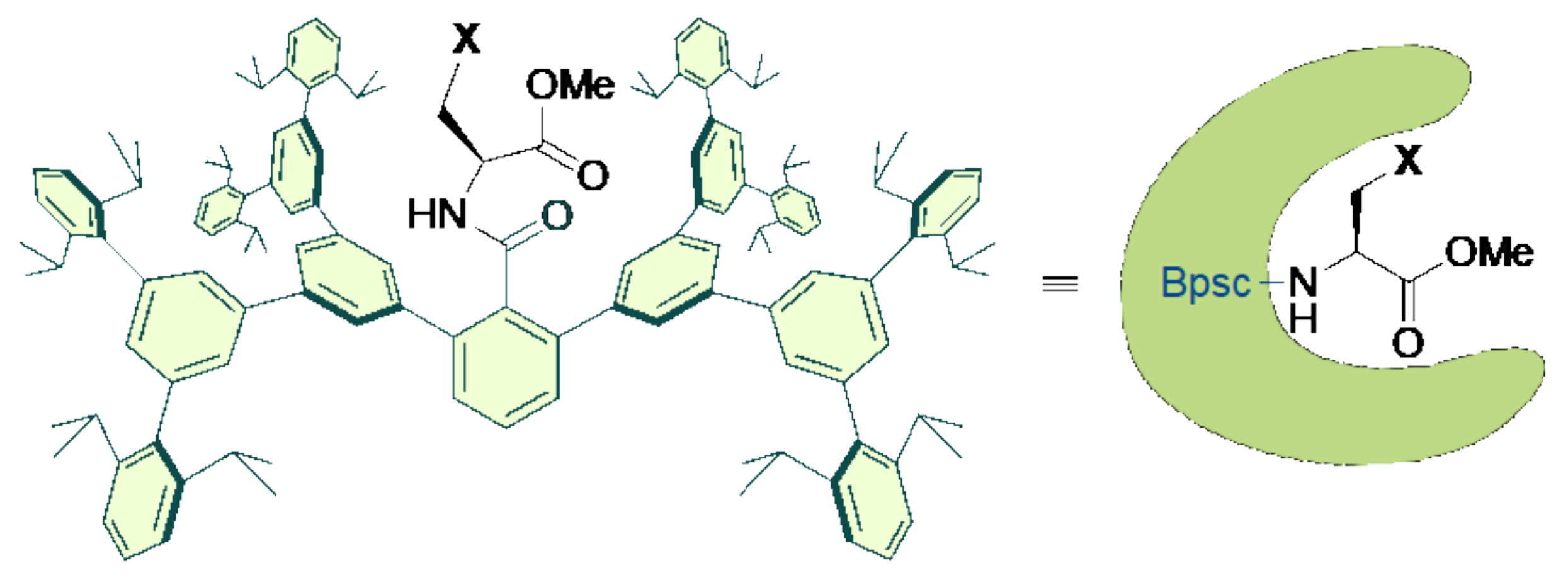 Molecules 28 07972 g001