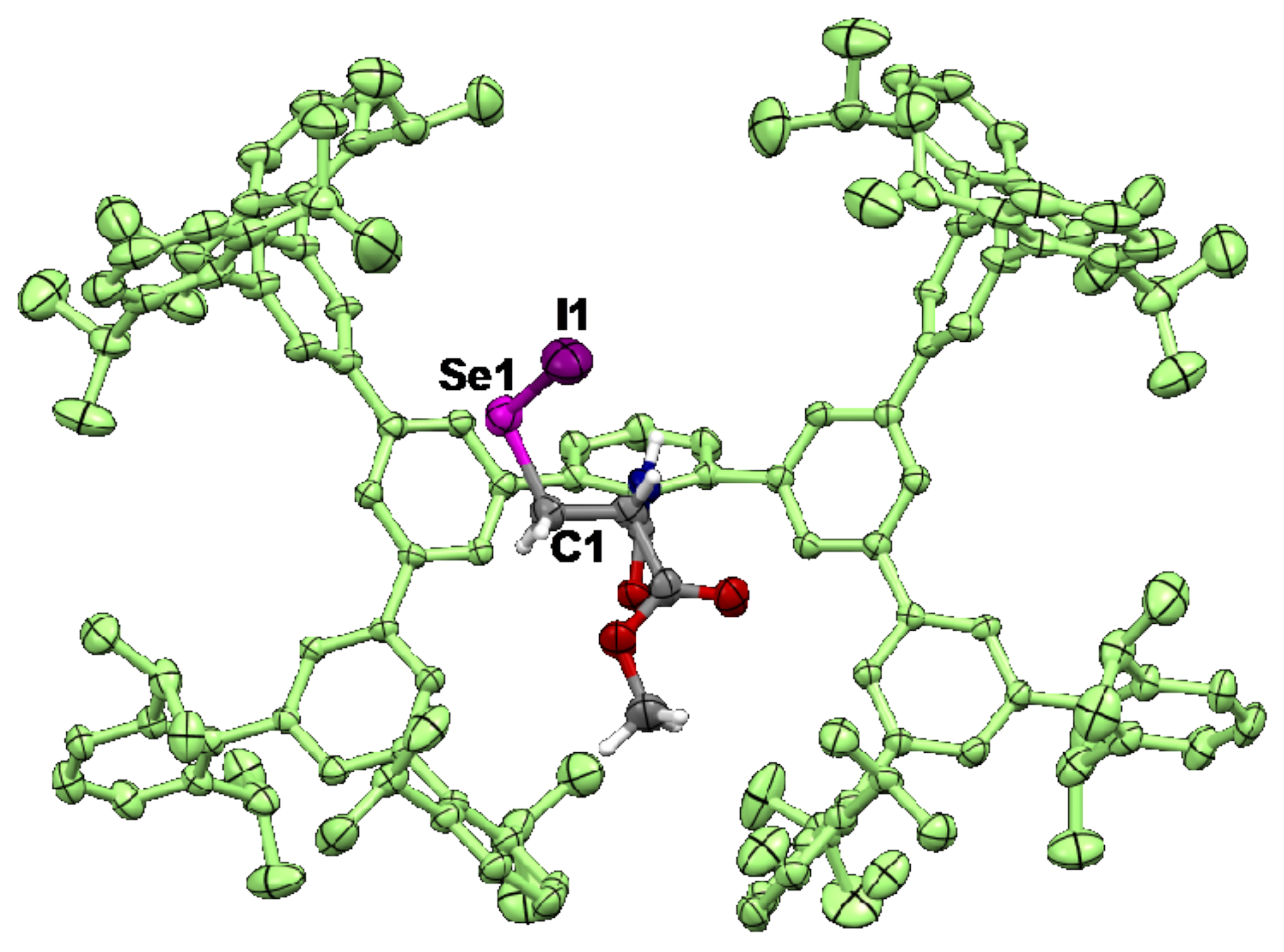 Molecules 28 07972 g002