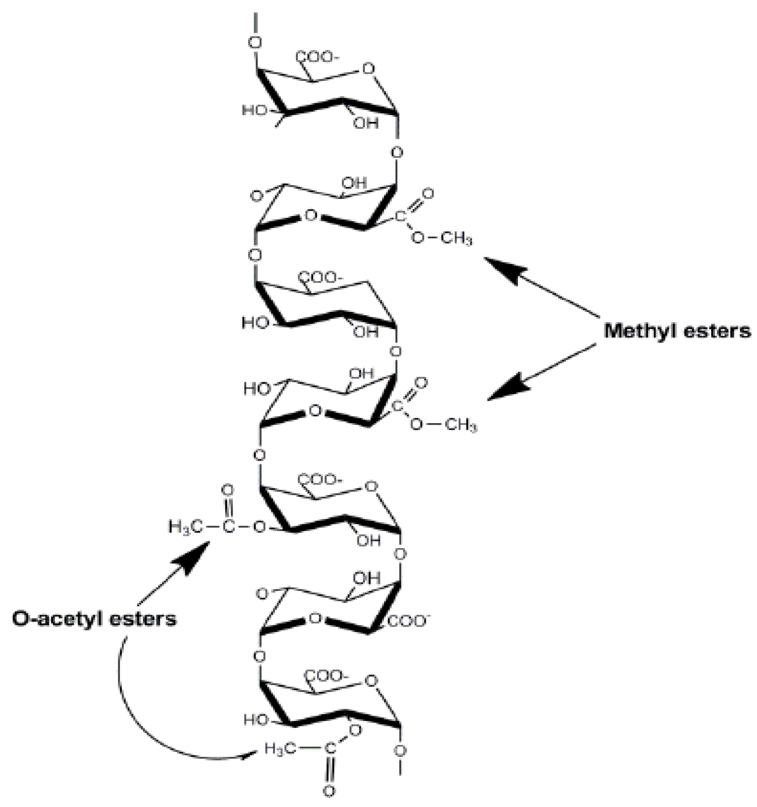 Molecules 28 07974 g002