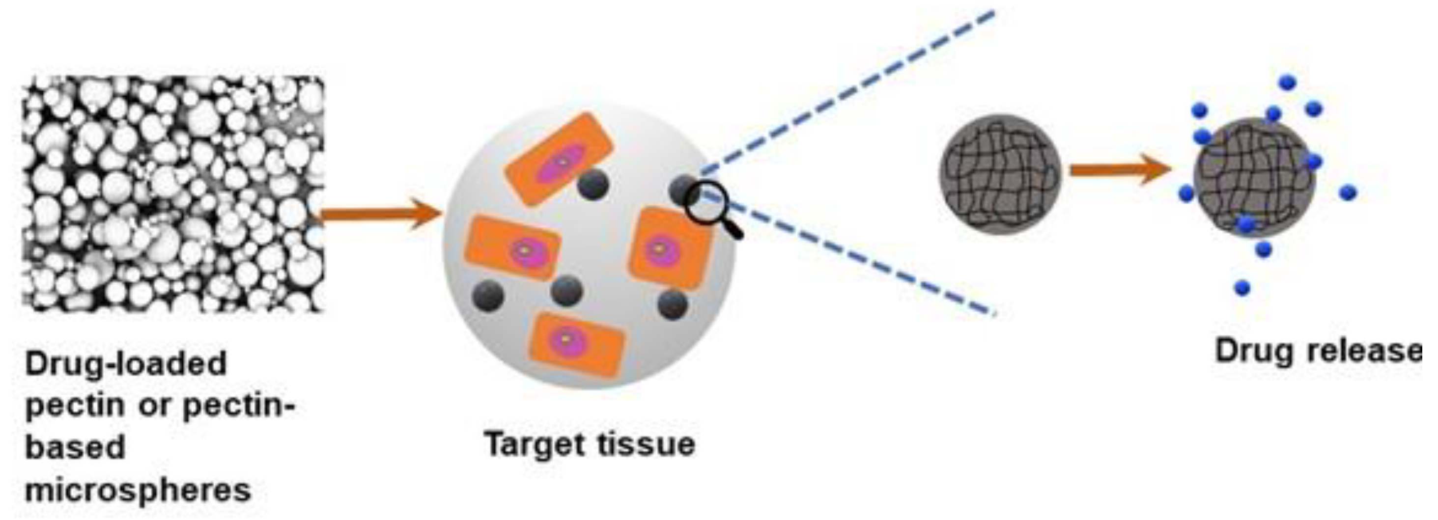 Molecules 28 07974 g003