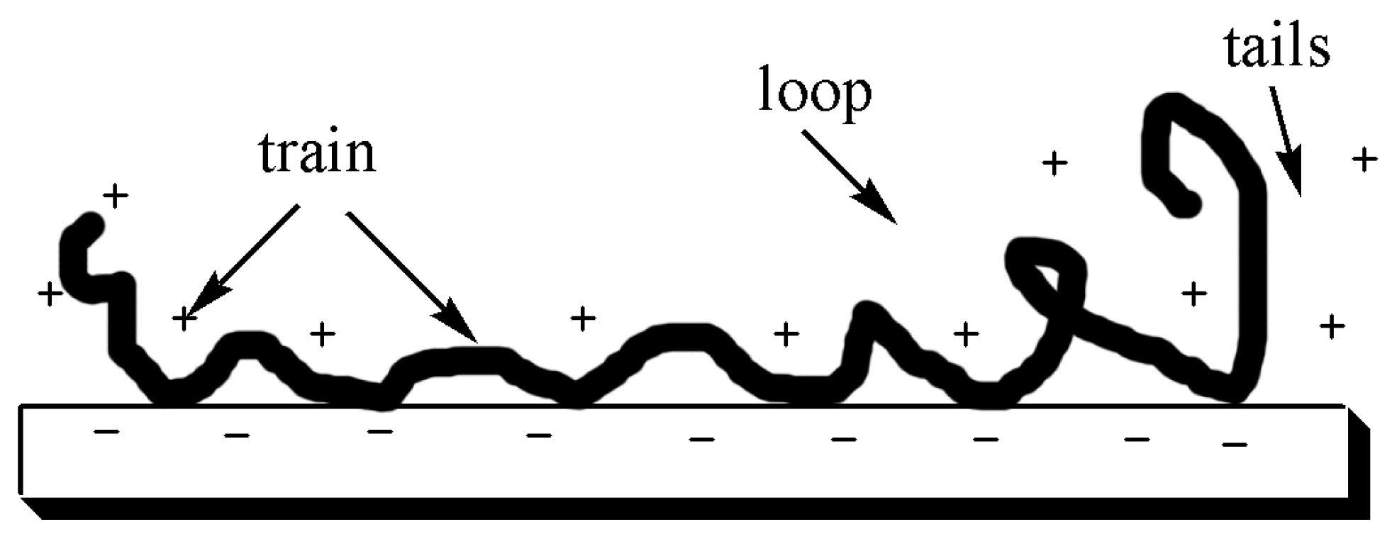 Molecules 28 07984 g003 Molecules 28 07984 g003