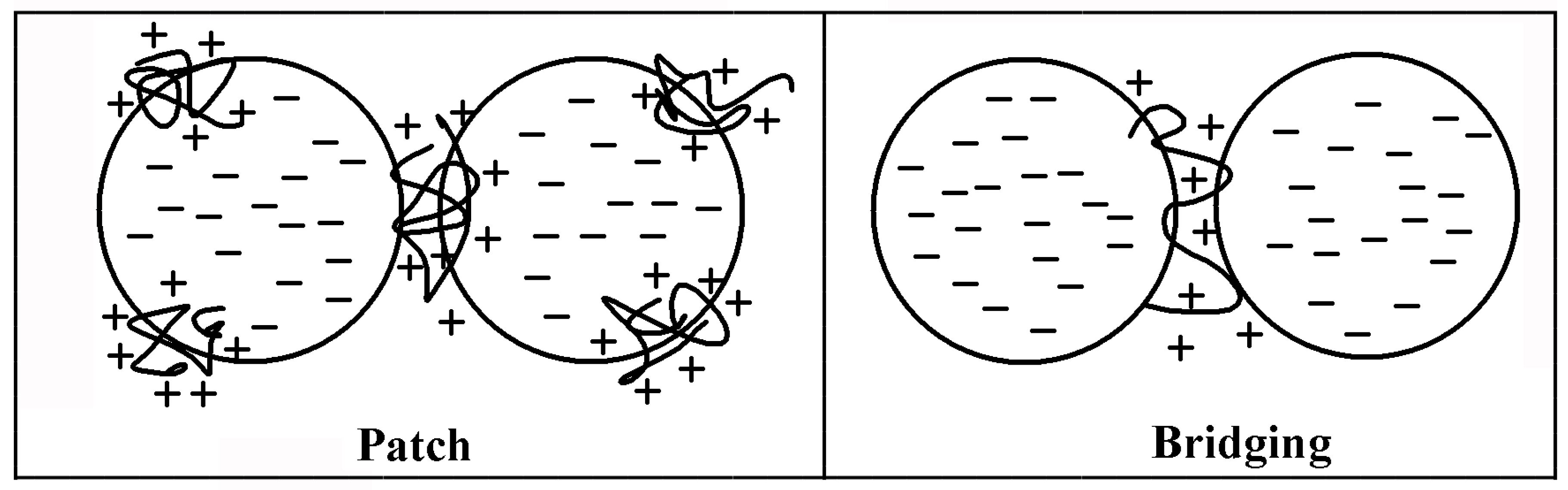 Molecules 28 07984 g005 Molecules 28 07984 g005