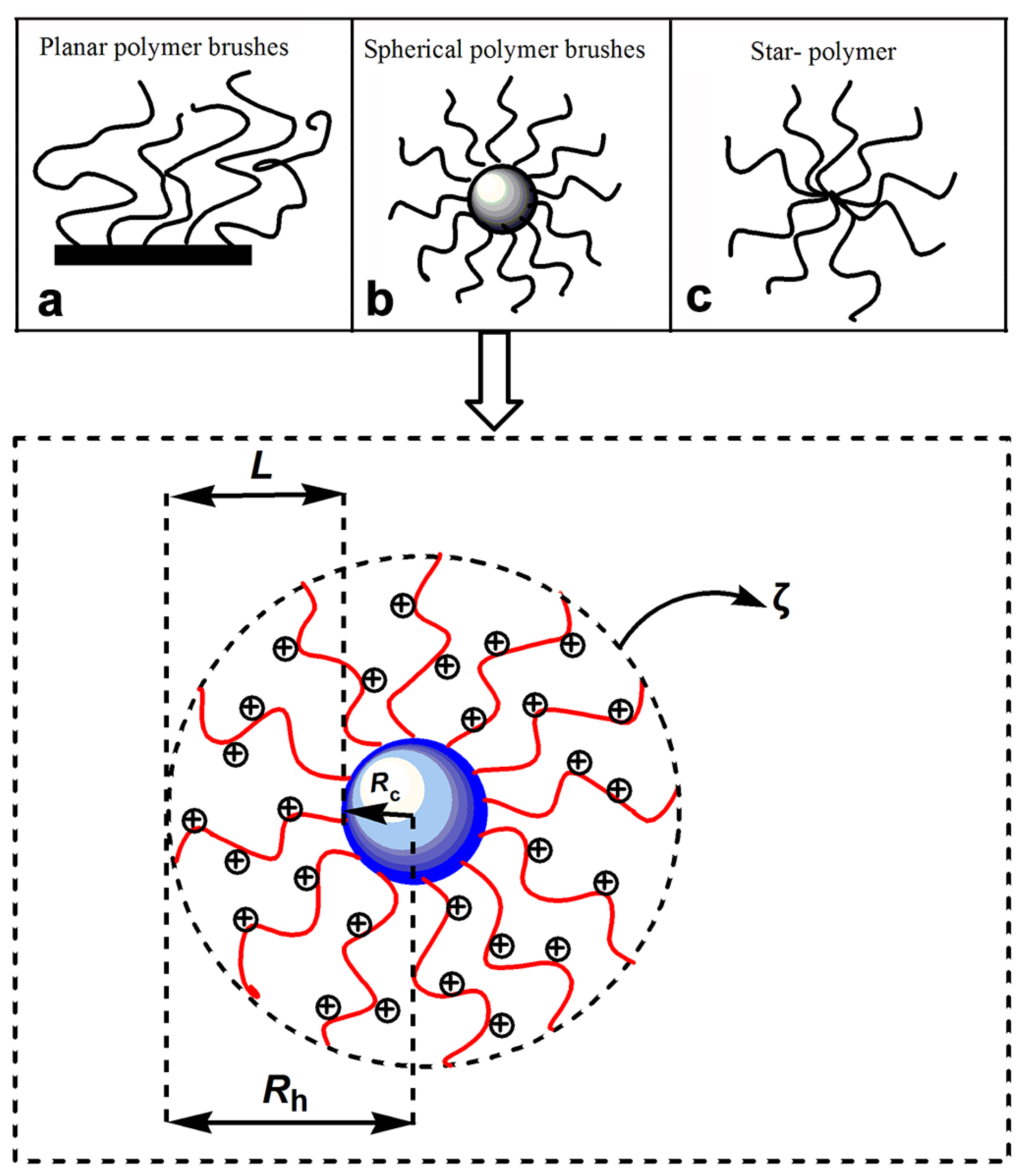 Molecules 28 07984 g006 Molecules 28 07984 g006