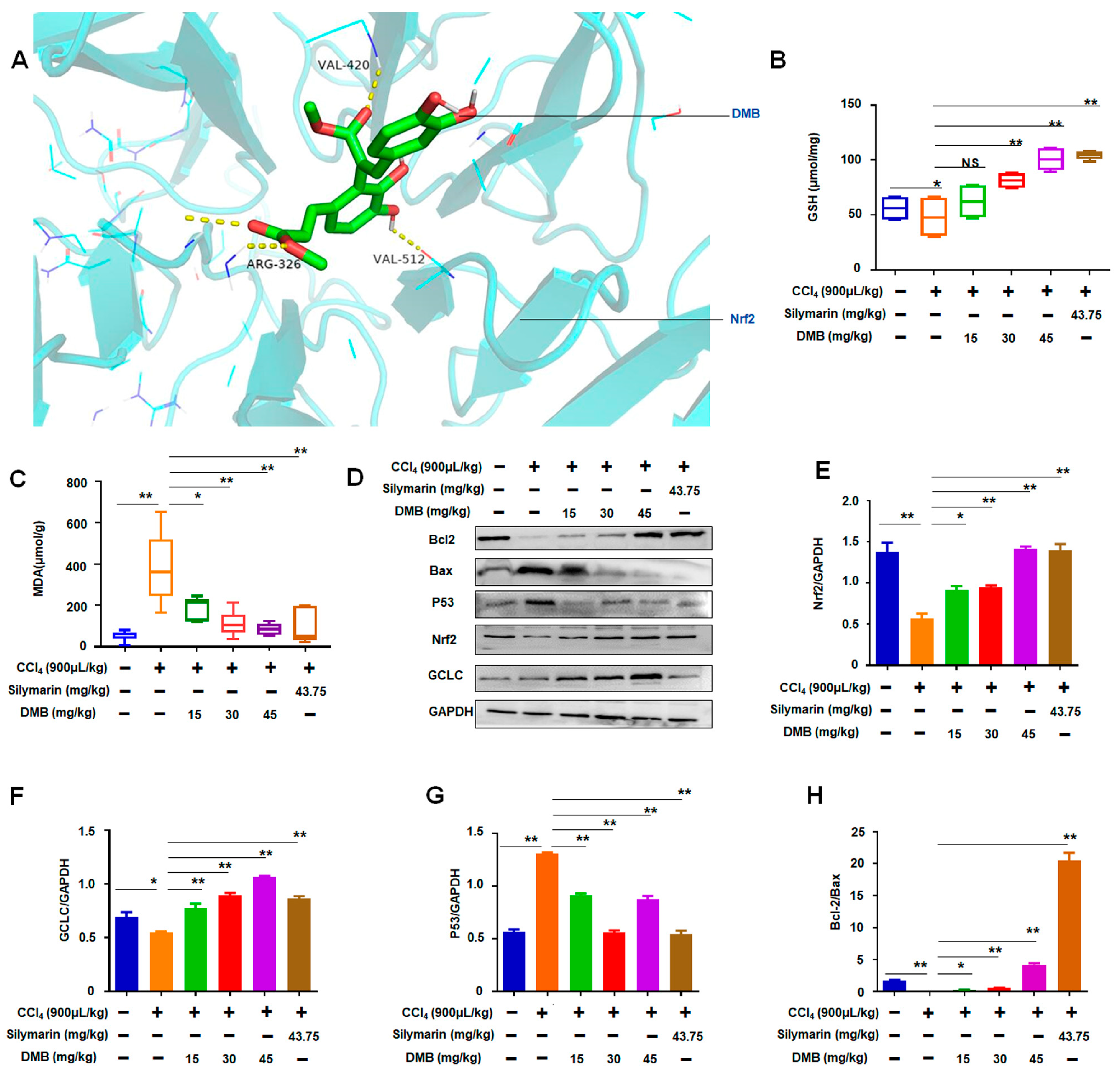 Molecules 28 07989 g004