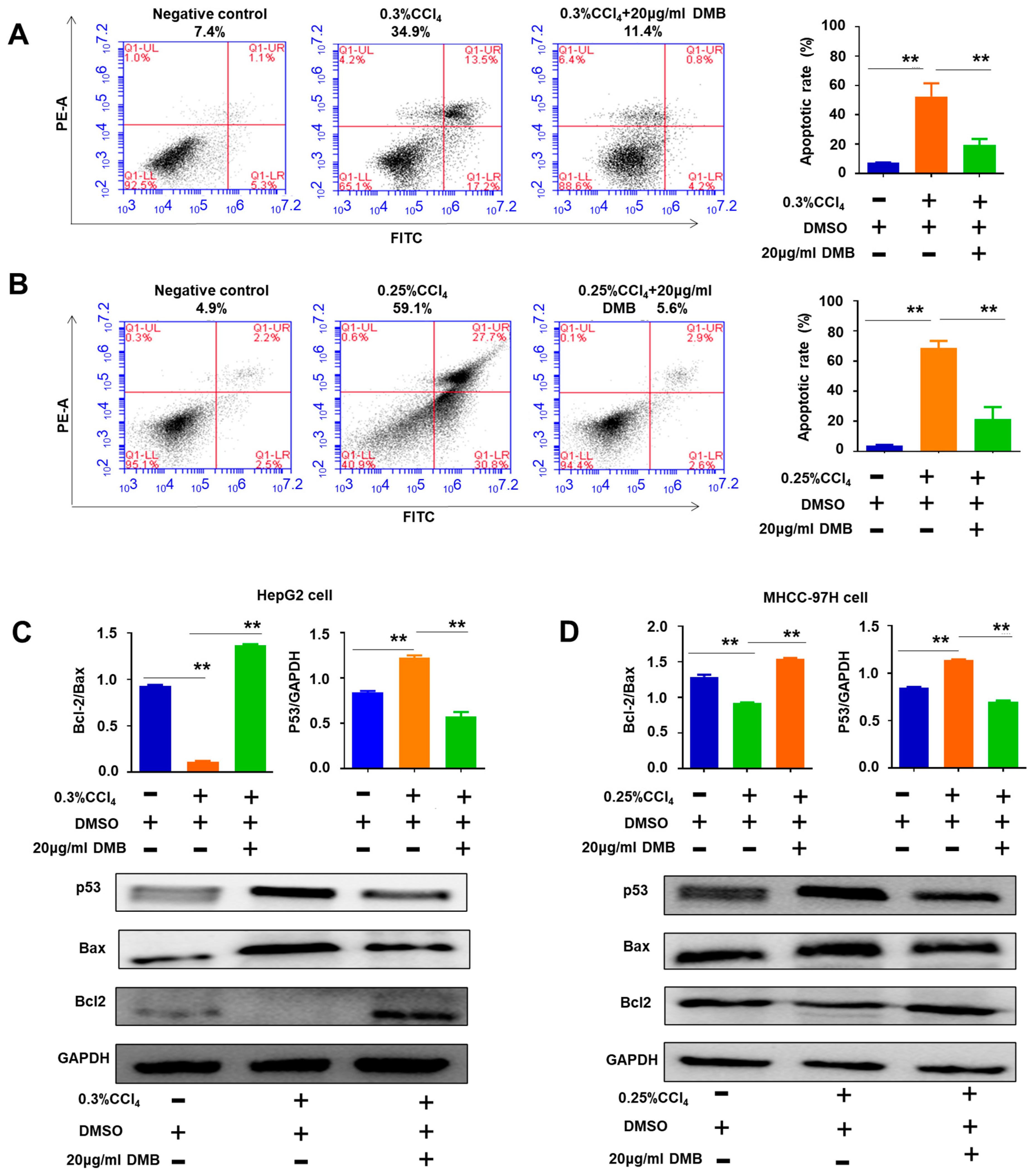 Molecules 28 07989 g007
