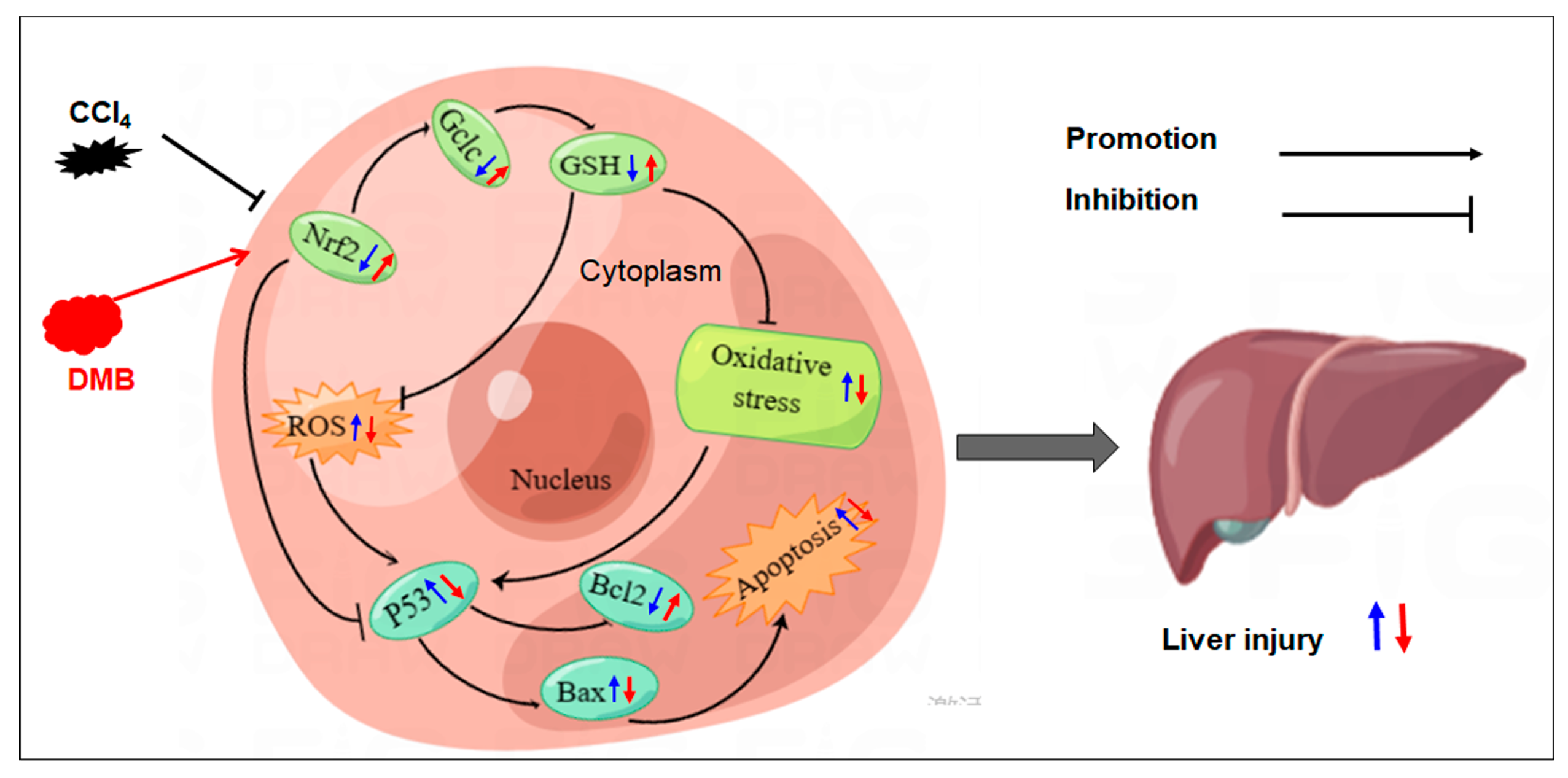 Molecules 28 07989 g008