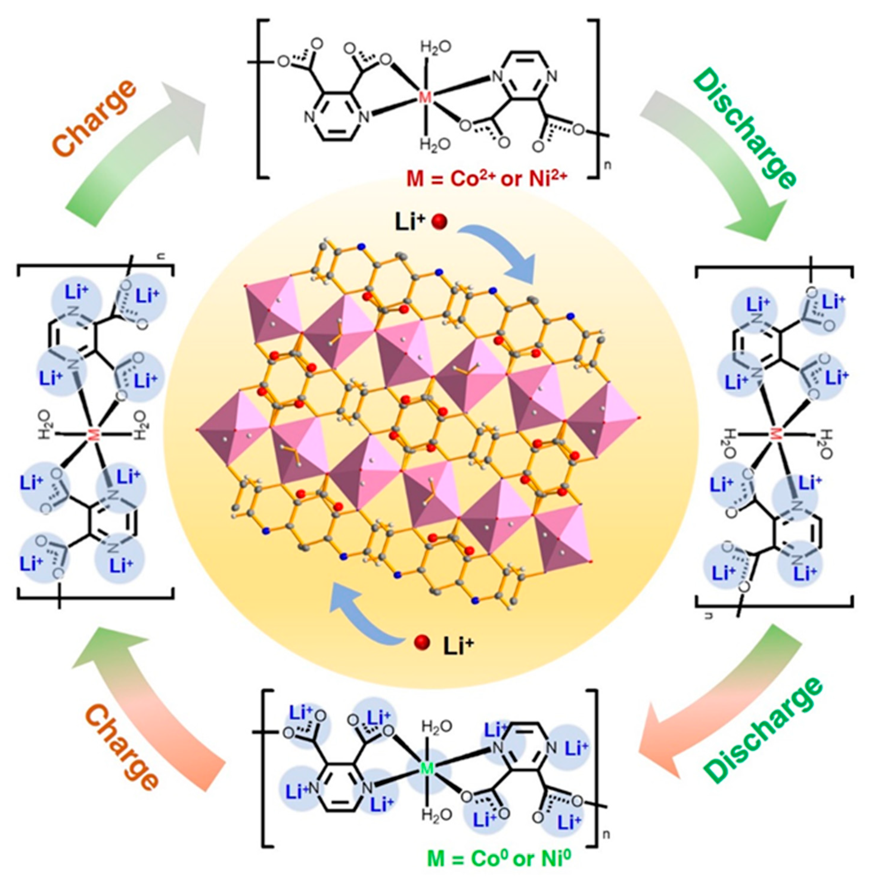 Molecules 28 07993 g004