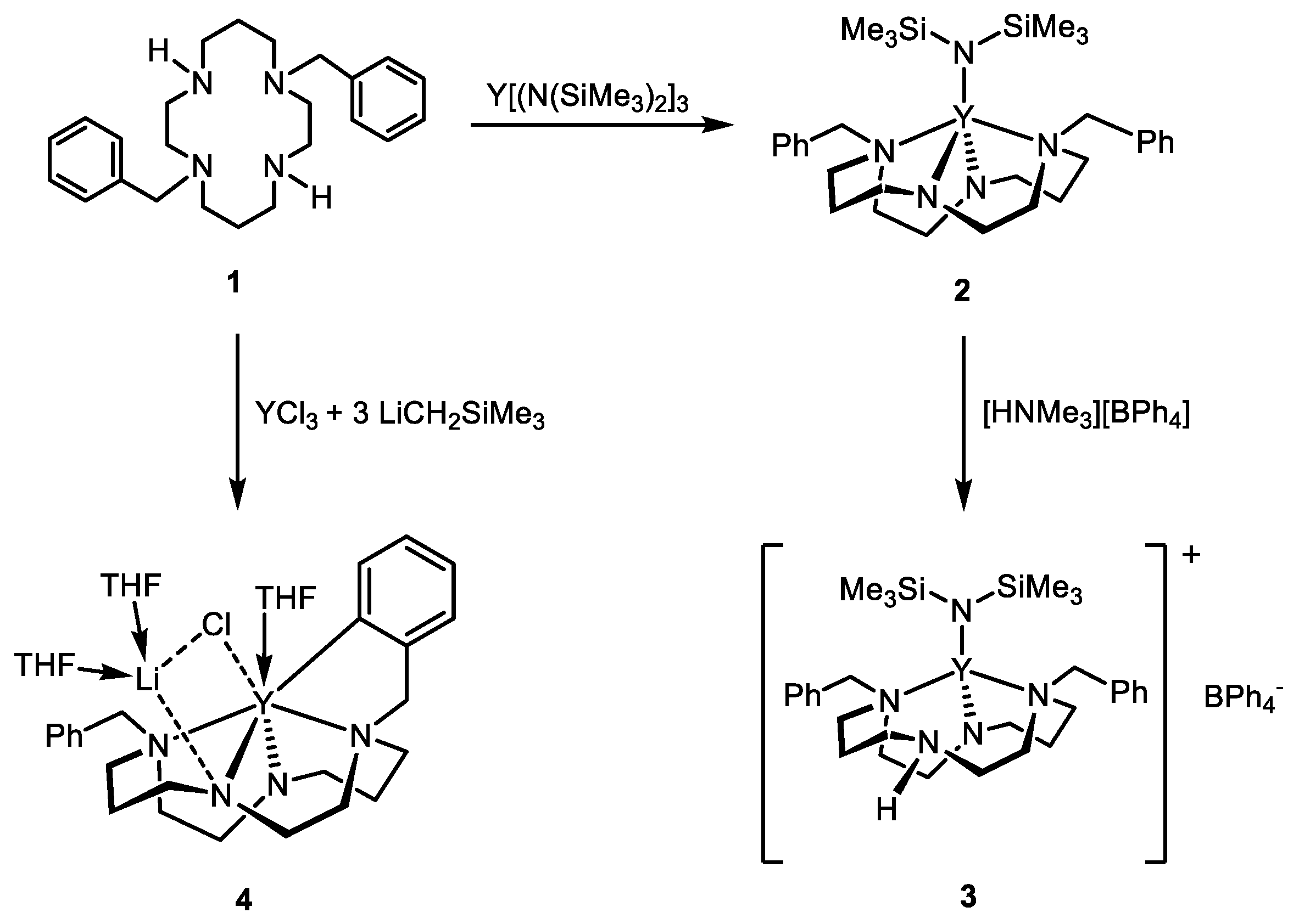 Molecules 28 07998 sch001
