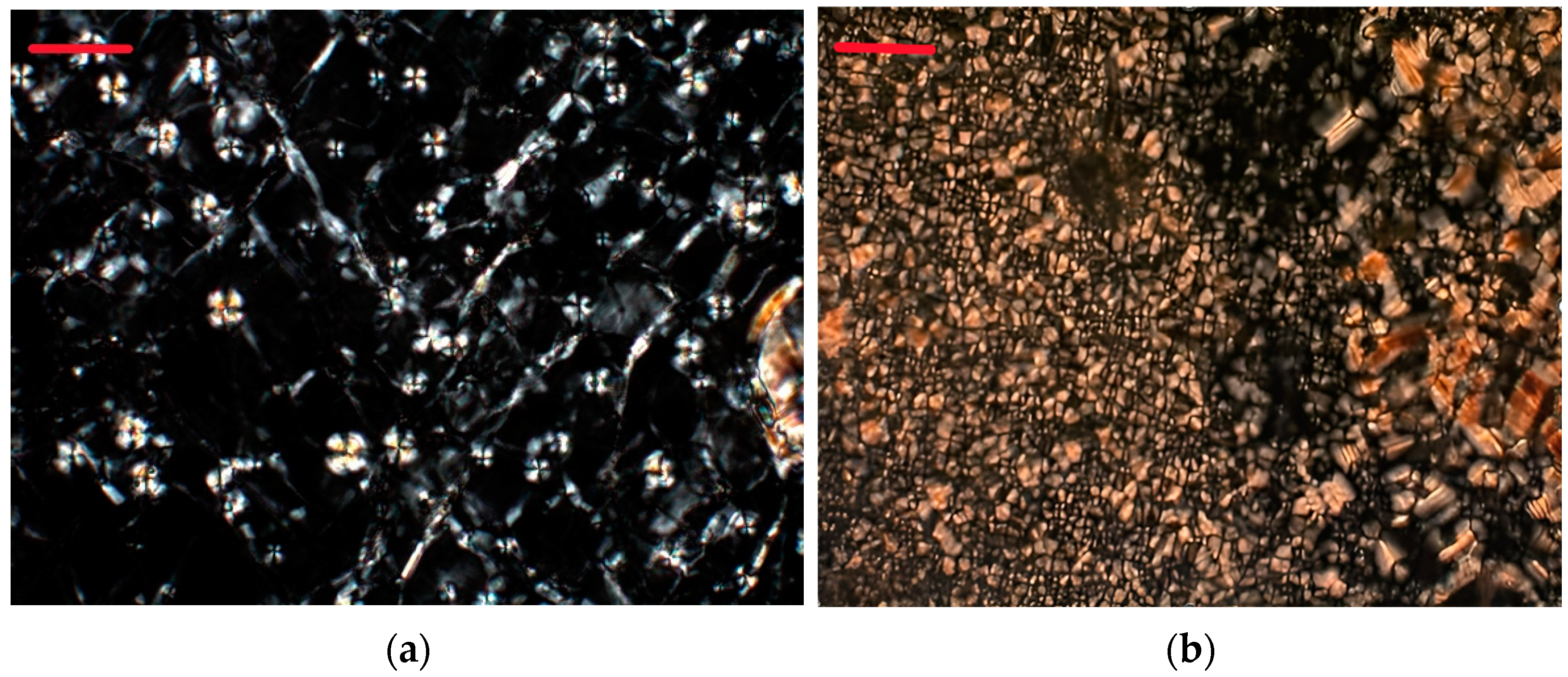 Molecules 28 08002 g002