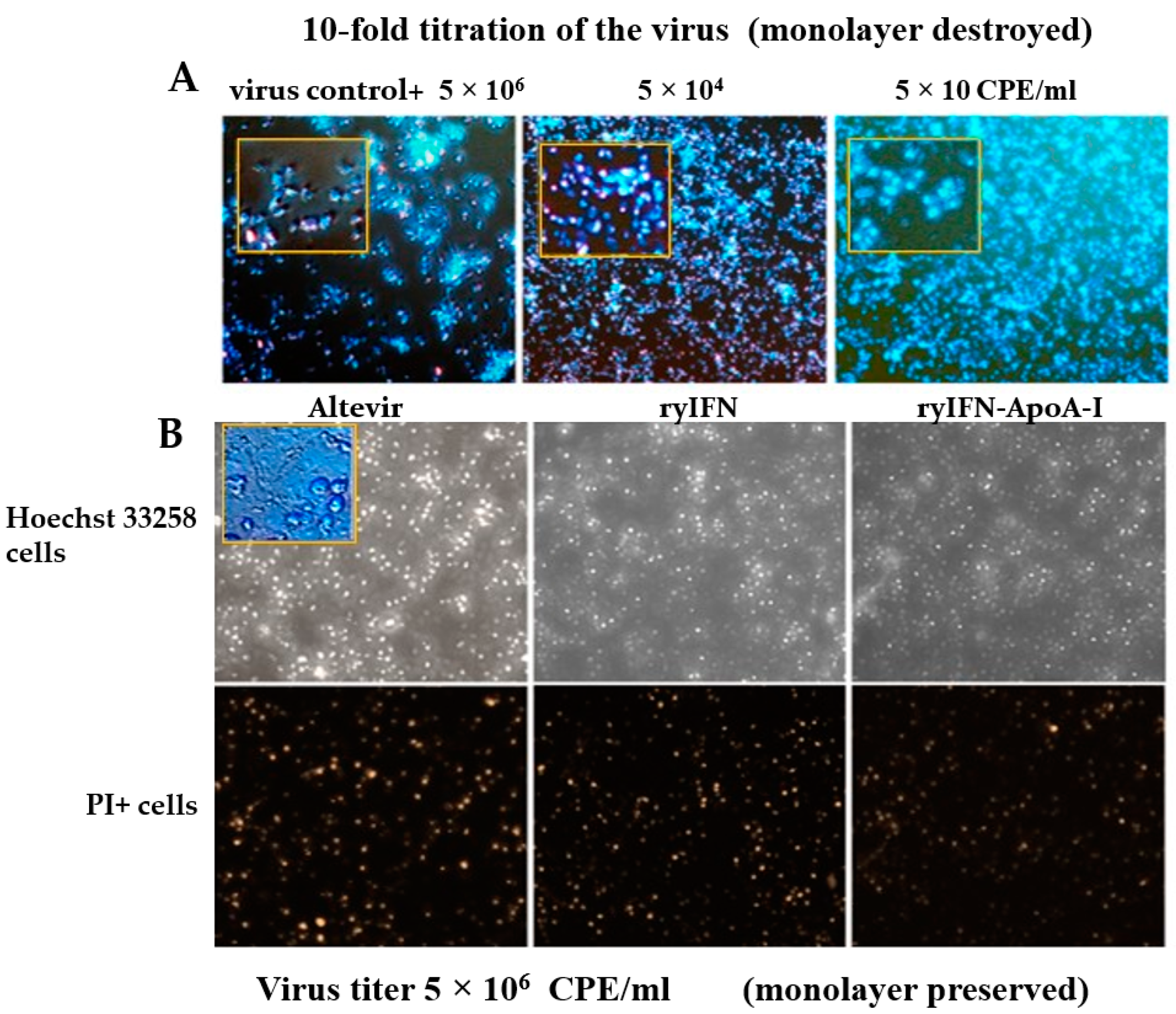 Molecules 28 08014 g002 Molecules 28 08014 g002