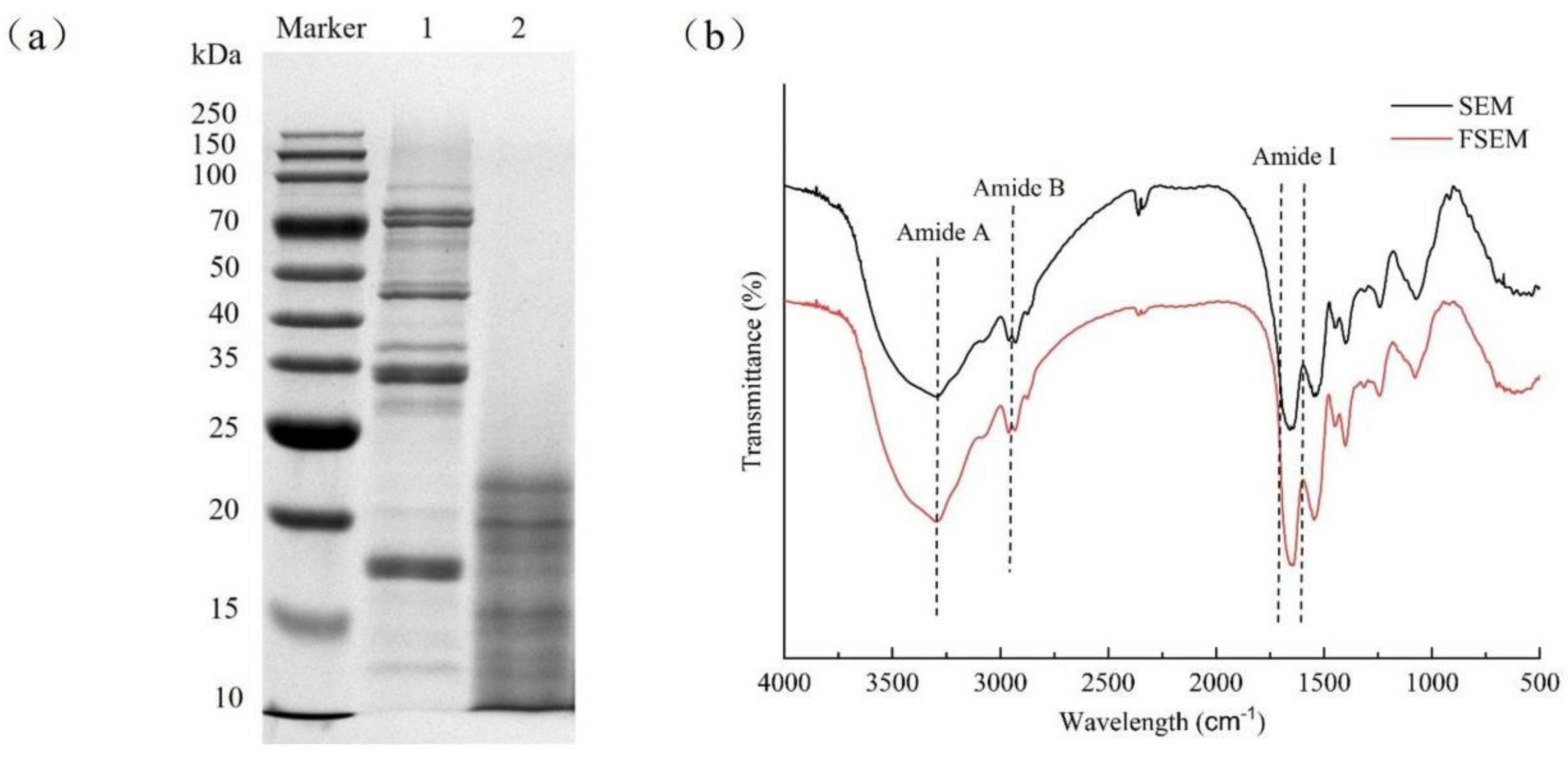Molecules 28 08015 g002