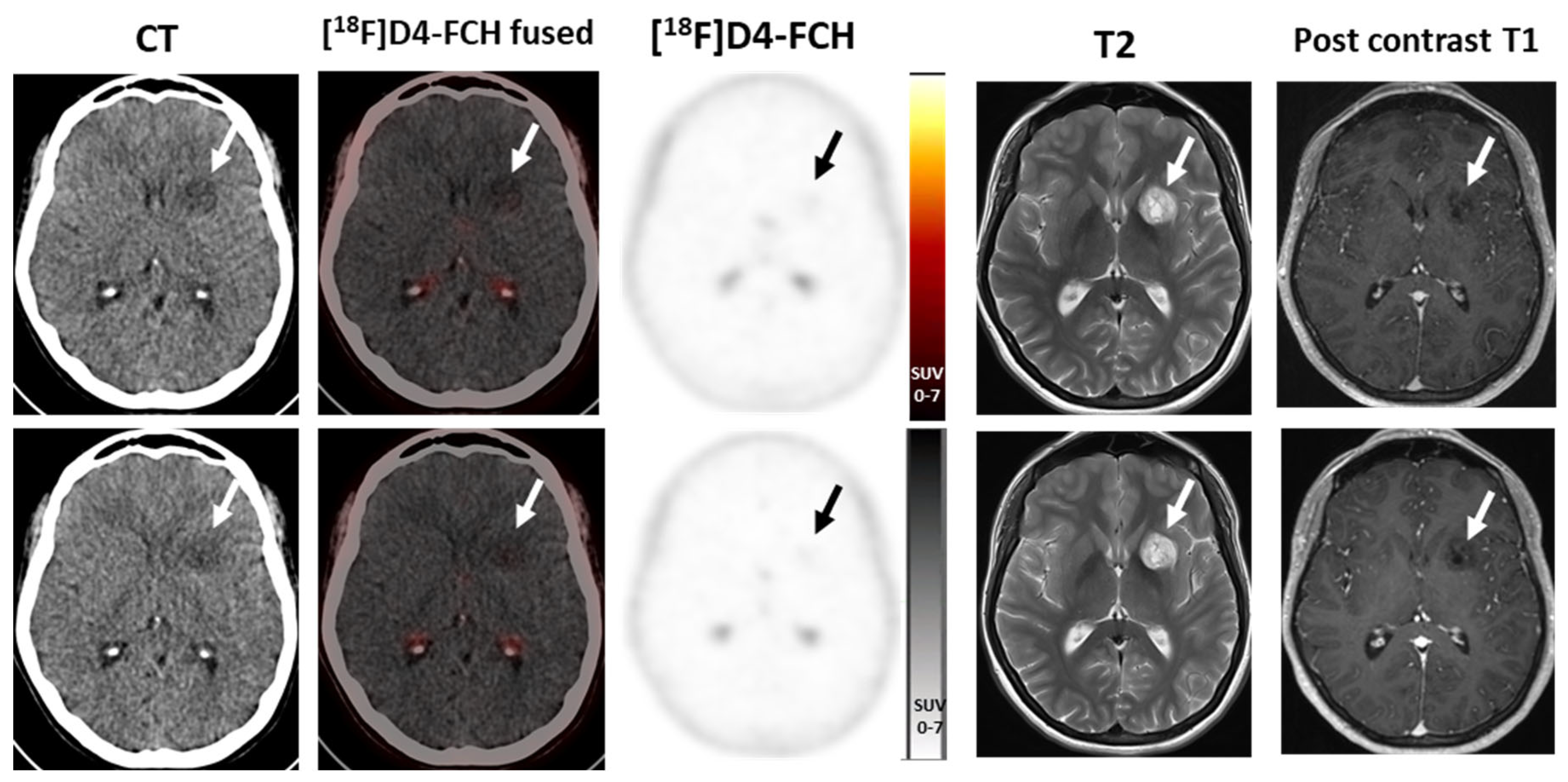 Molecules 28 08018 g002