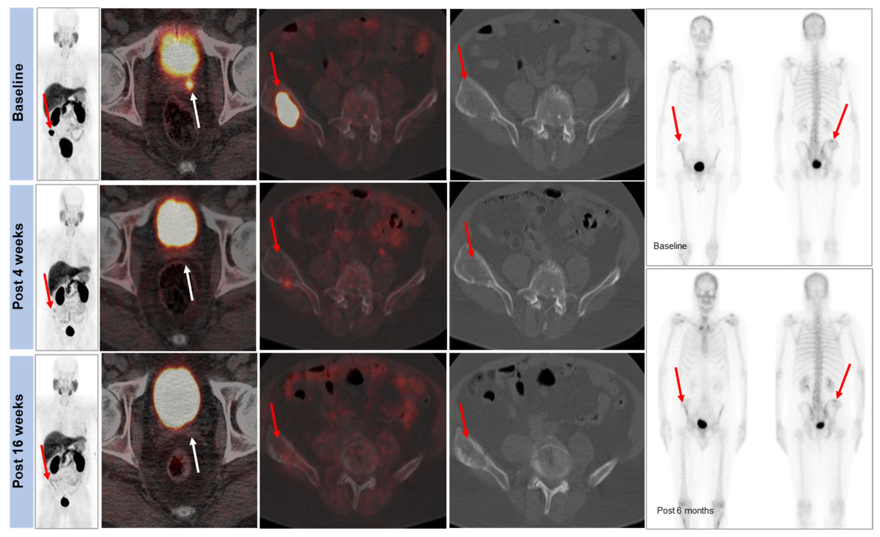 Molecules 28 08018 g004