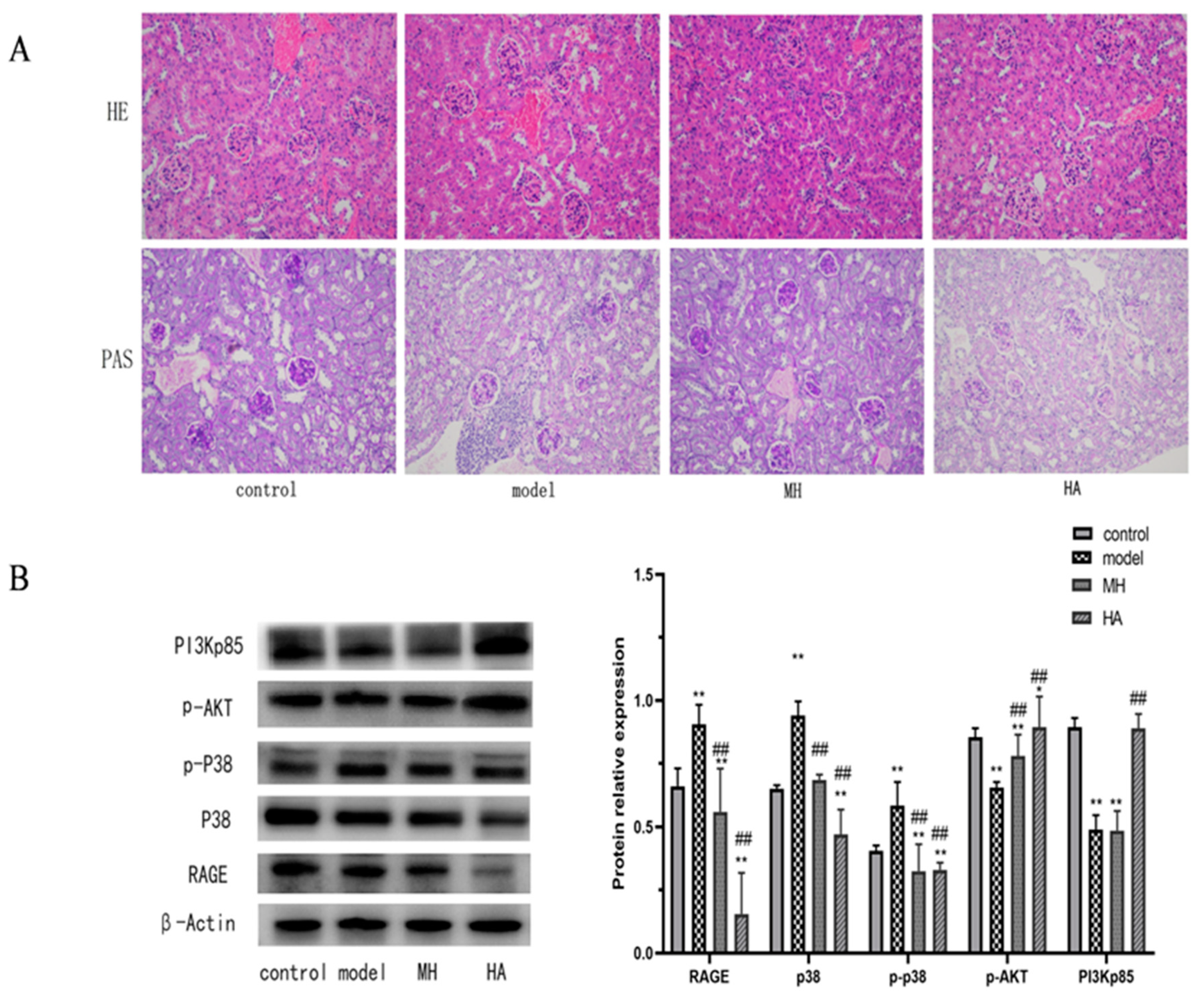 Molecules 28 08030 g009