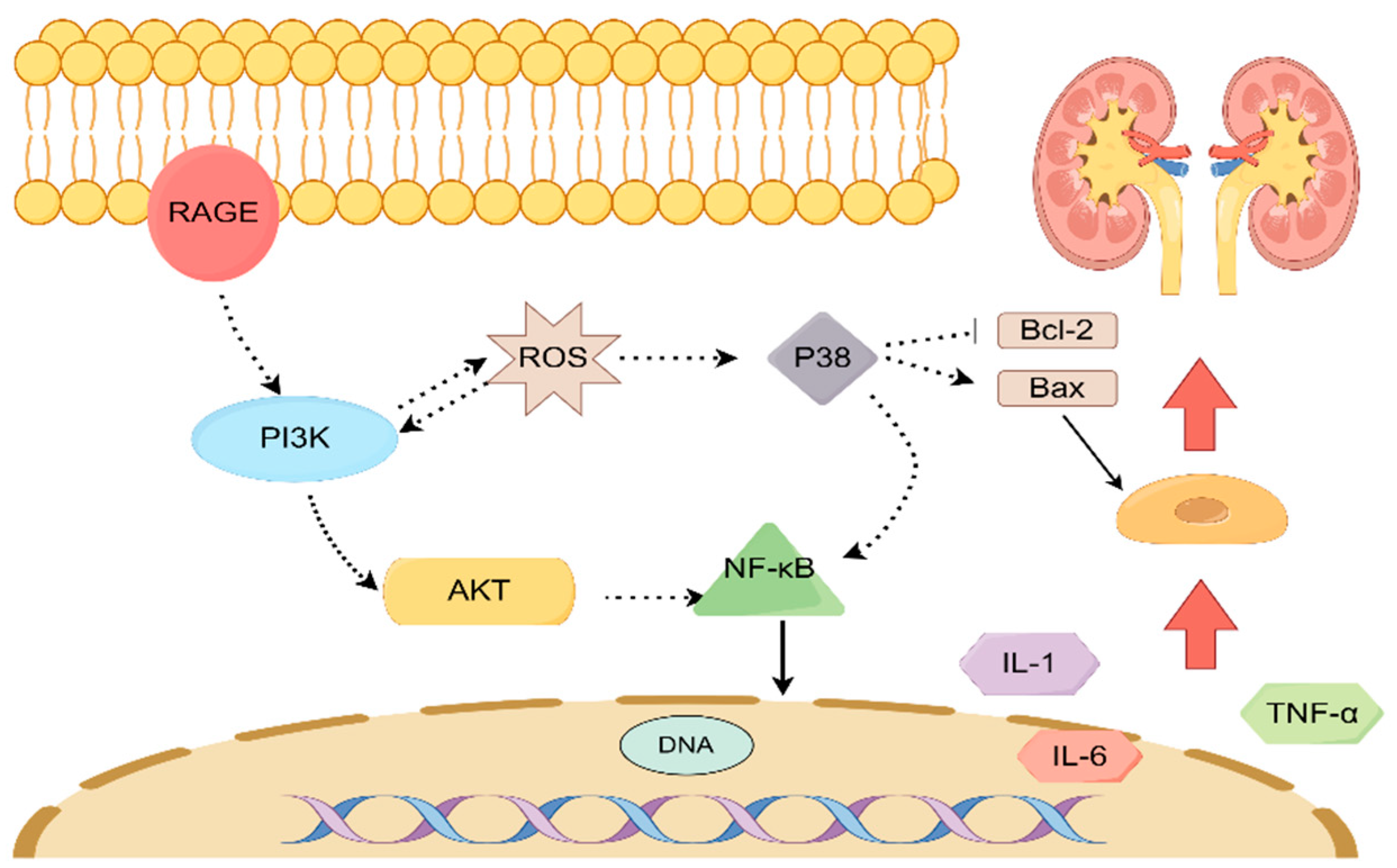 Molecules 28 08030 g010