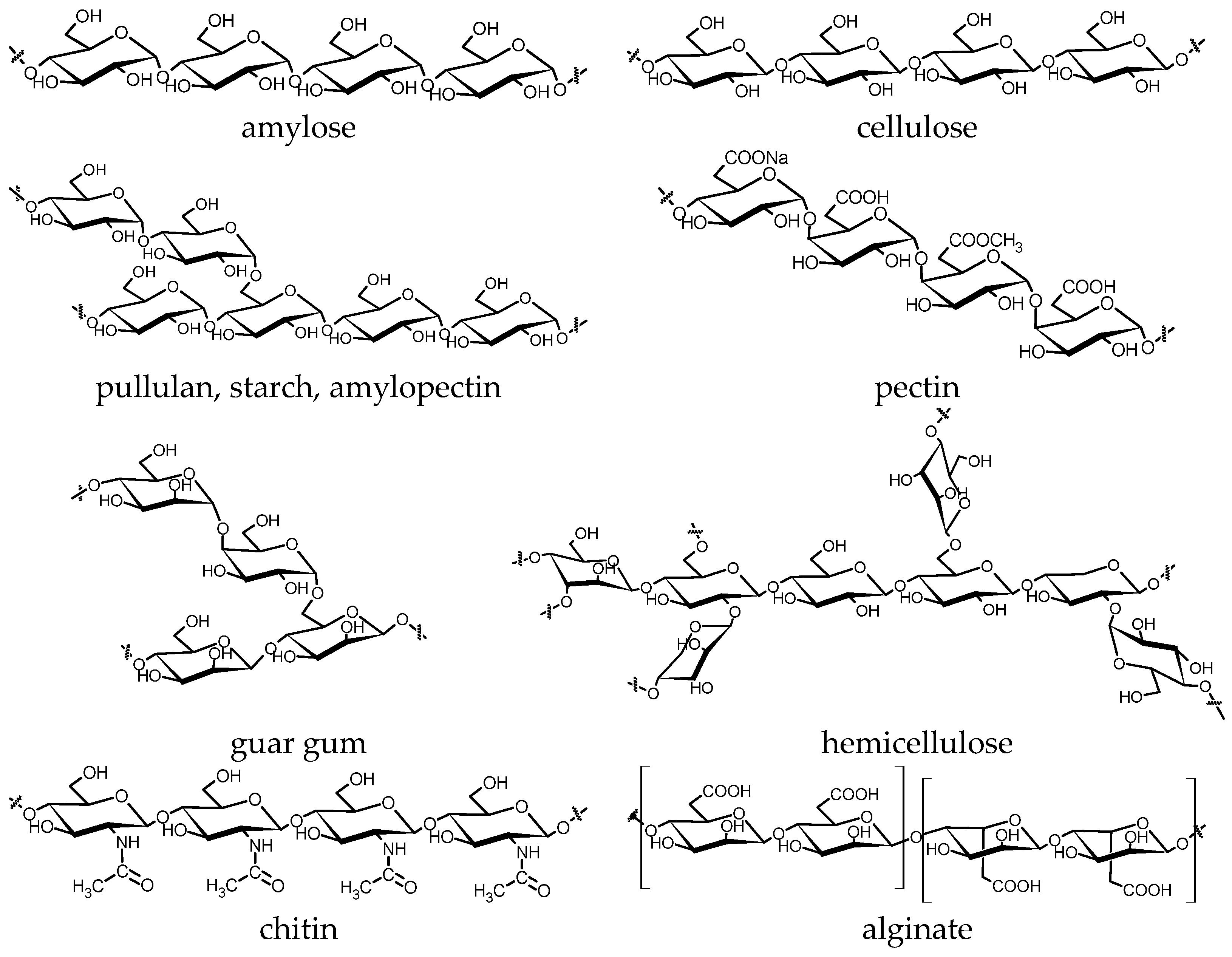 Molecules 28 08031 g007