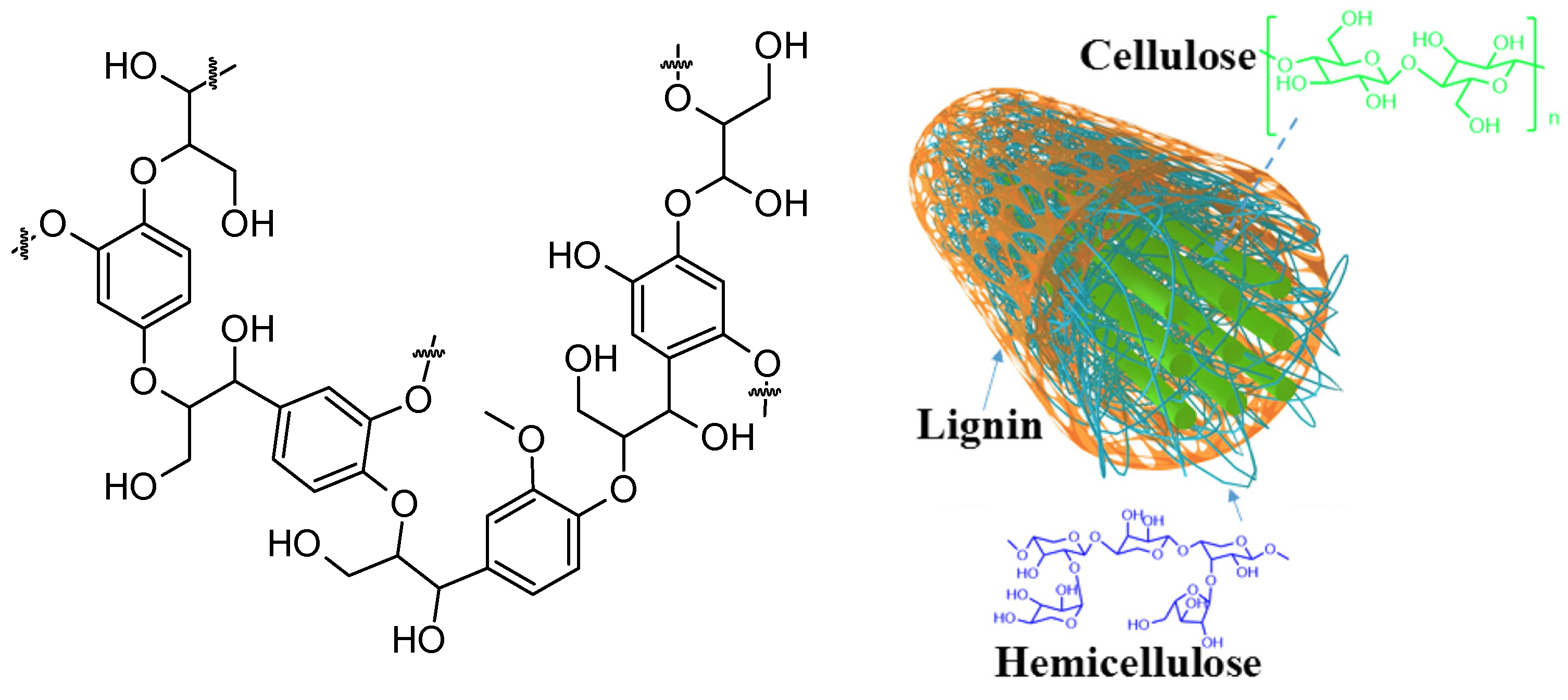 Molecules 28 08031 g008