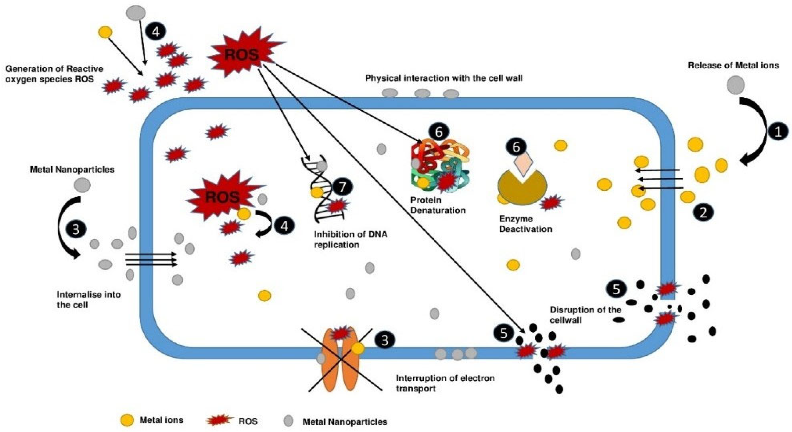 Molecules 28 08041 g002