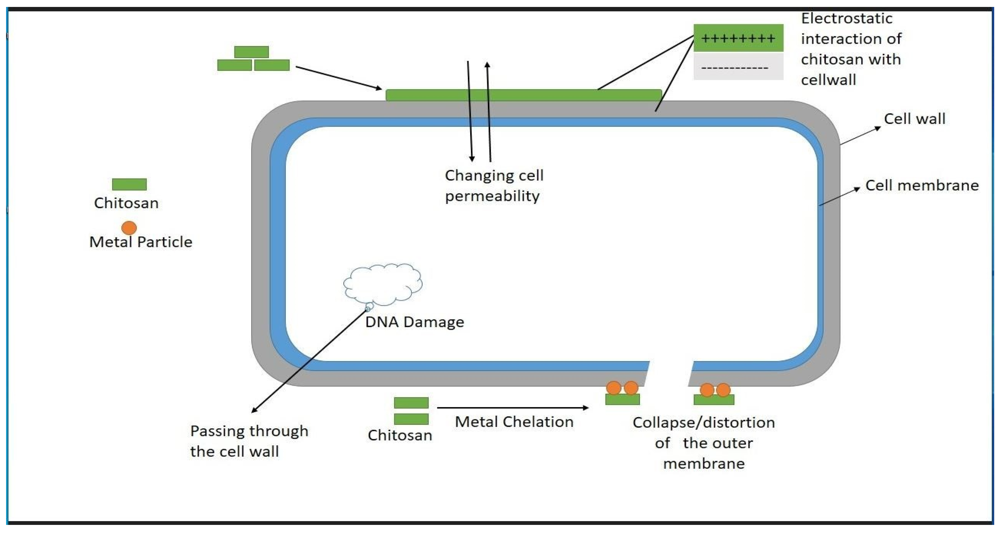 Molecules 28 08041 g003