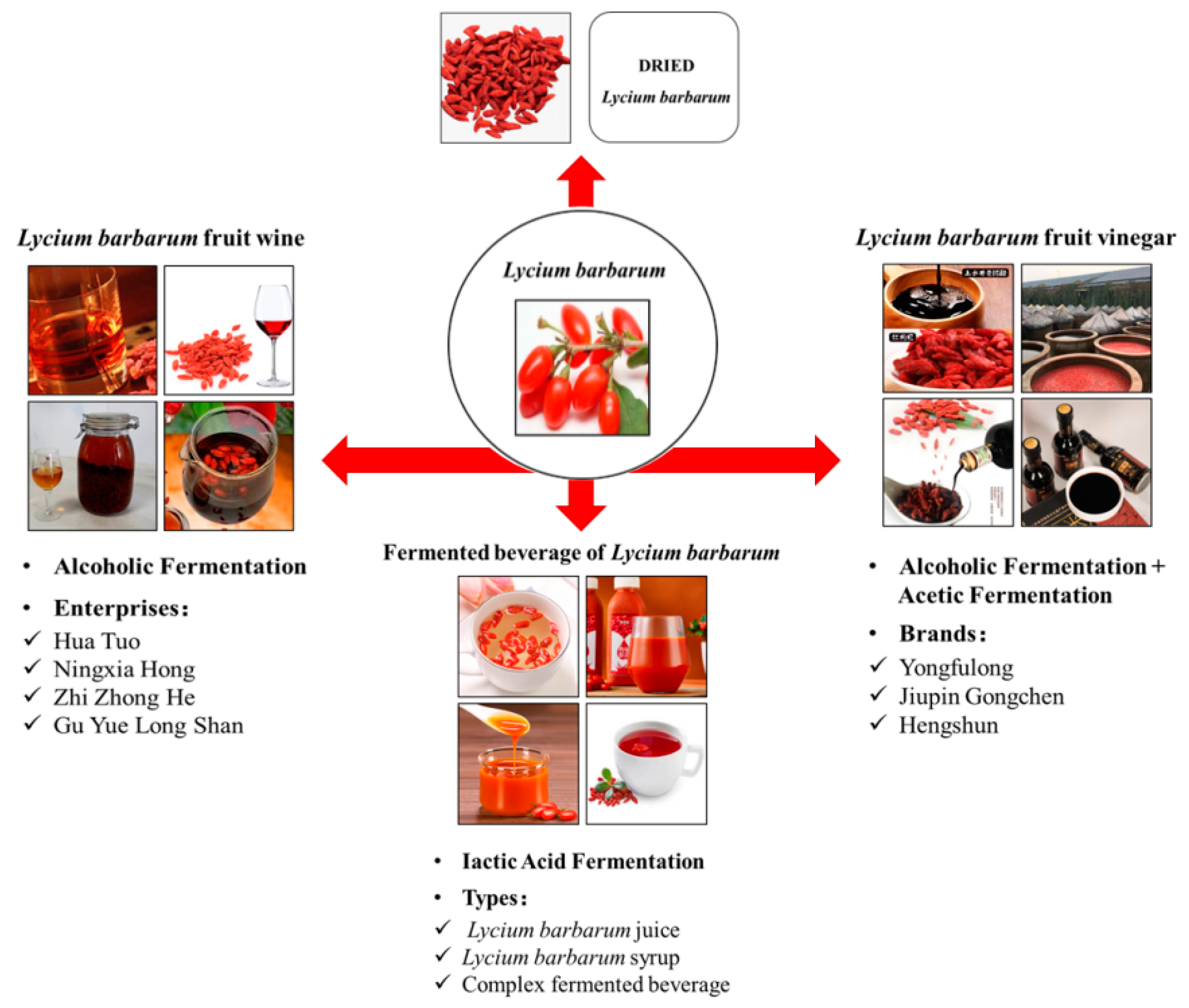 Molecules 28 08044 g001