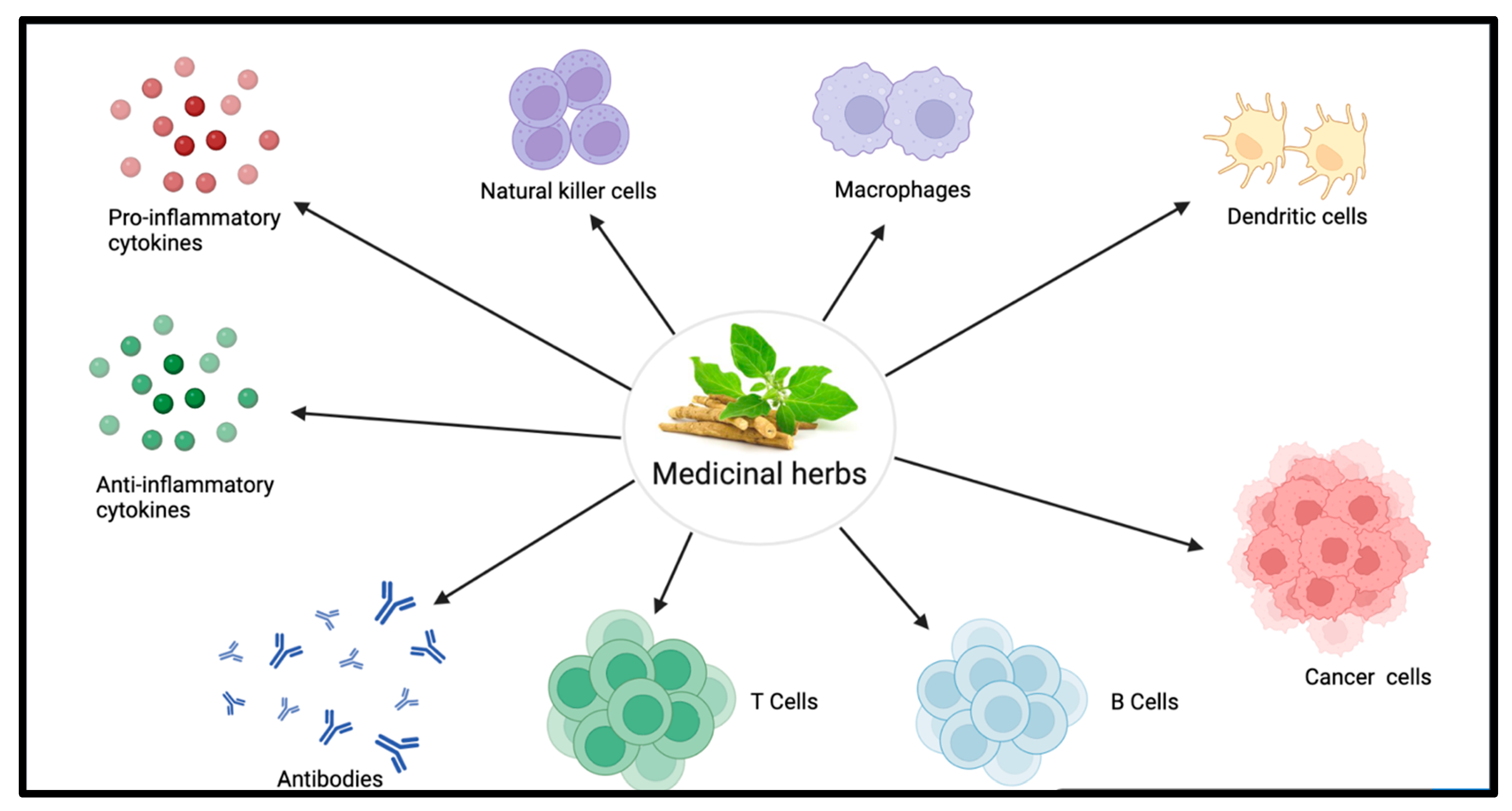 Molecules 28 08045 g001