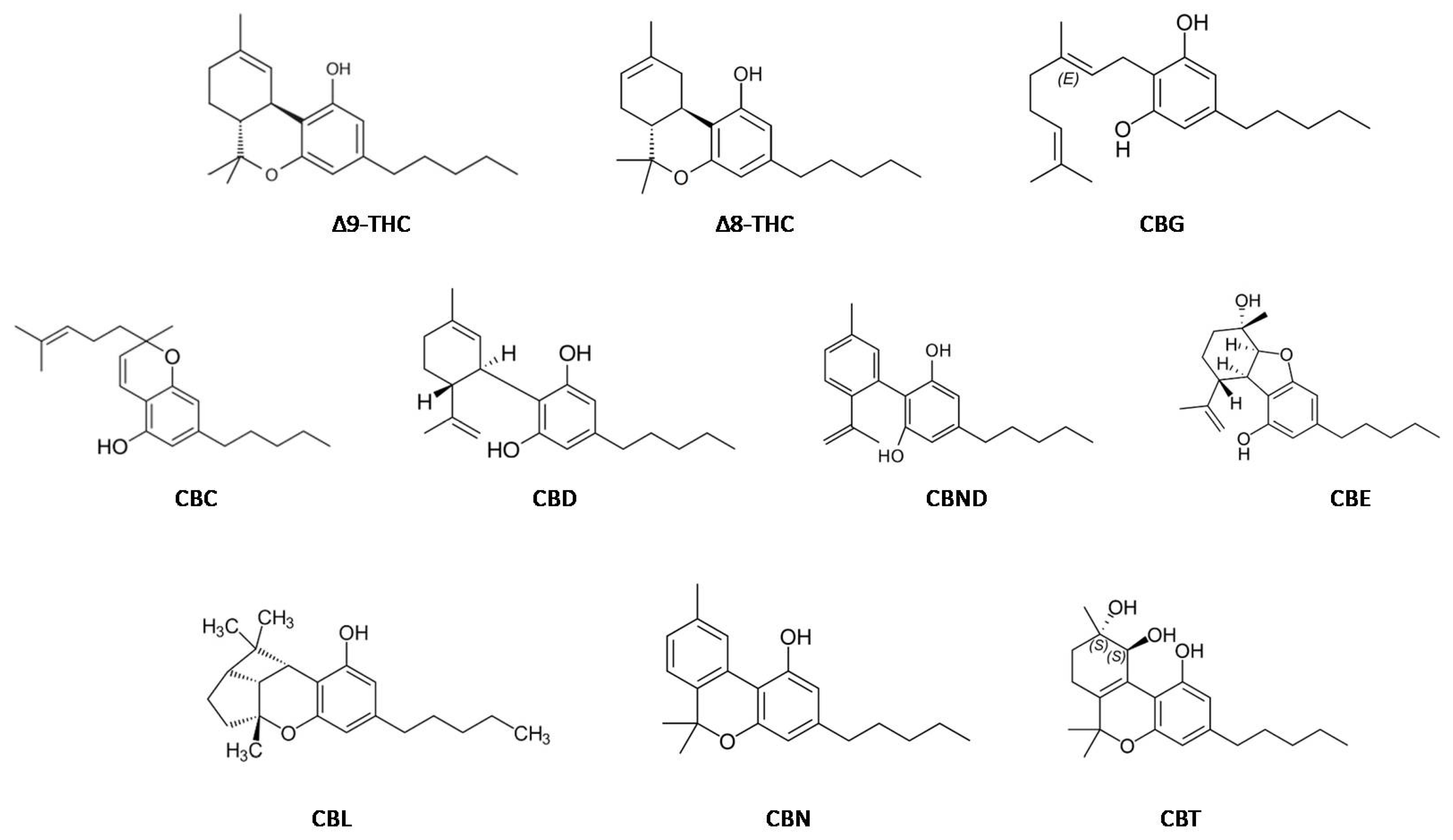 Molecules 28 08047 g001 Molecules 28 08047 g001