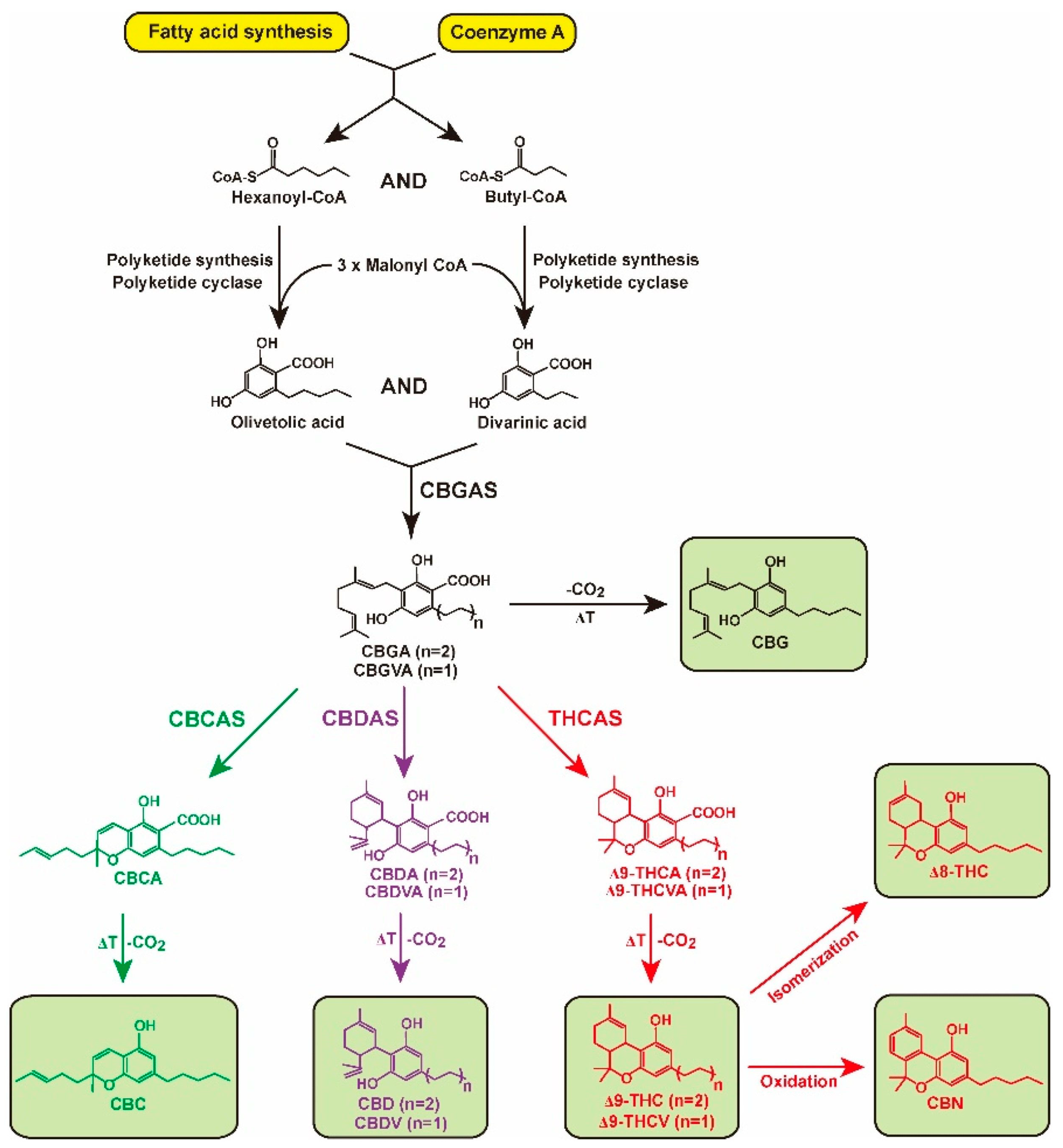 Molecules 28 08047 g002 Molecules 28 08047 g002